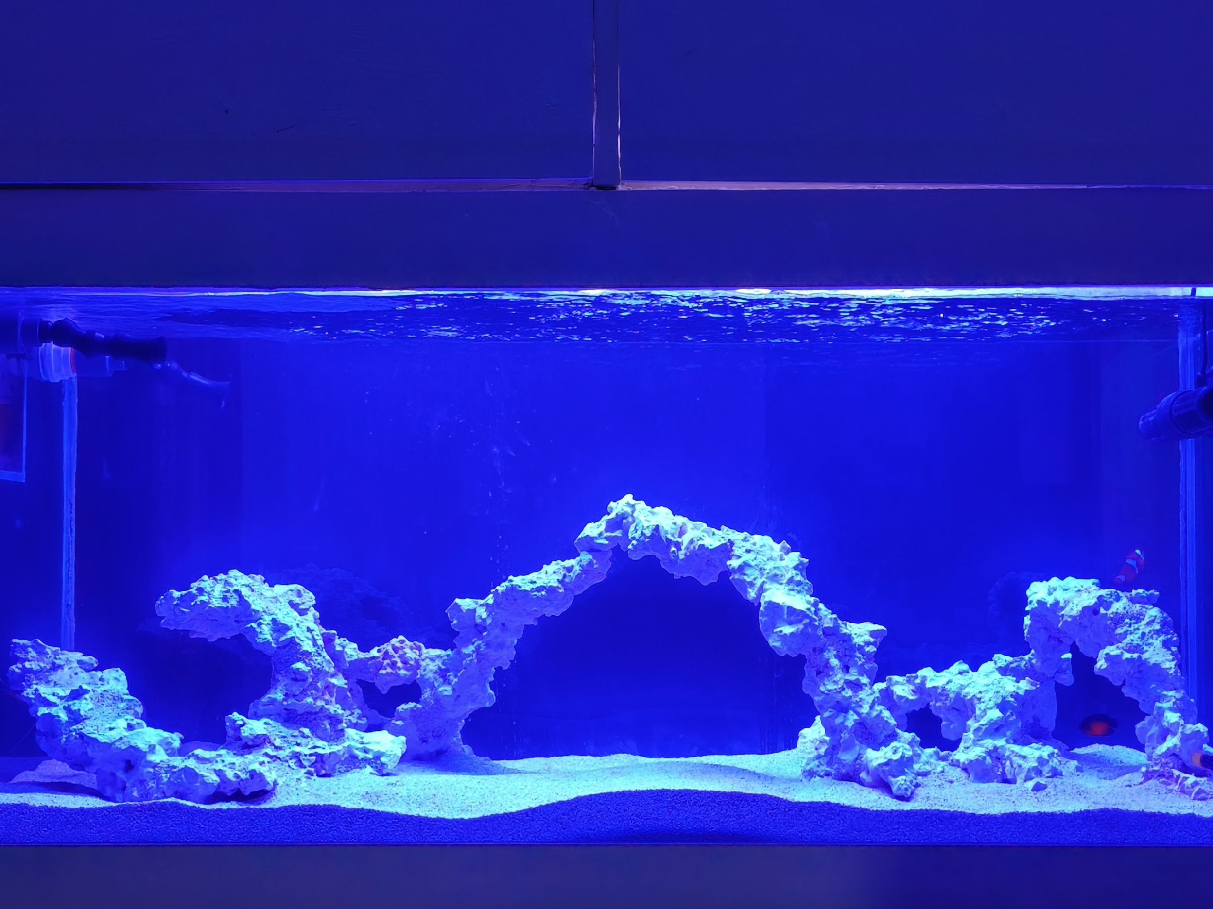 Tank Image