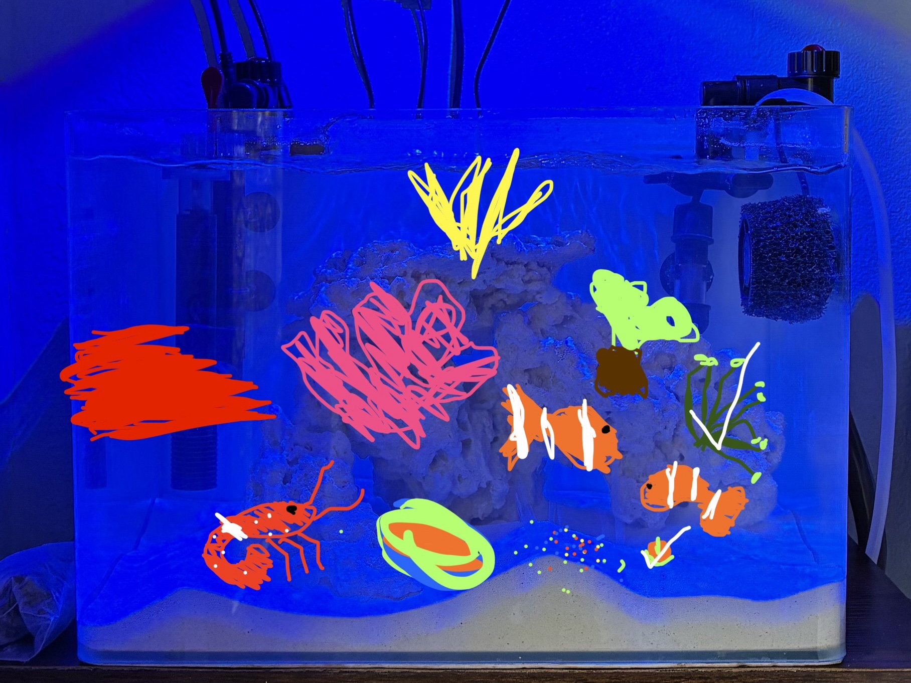 Tank Image