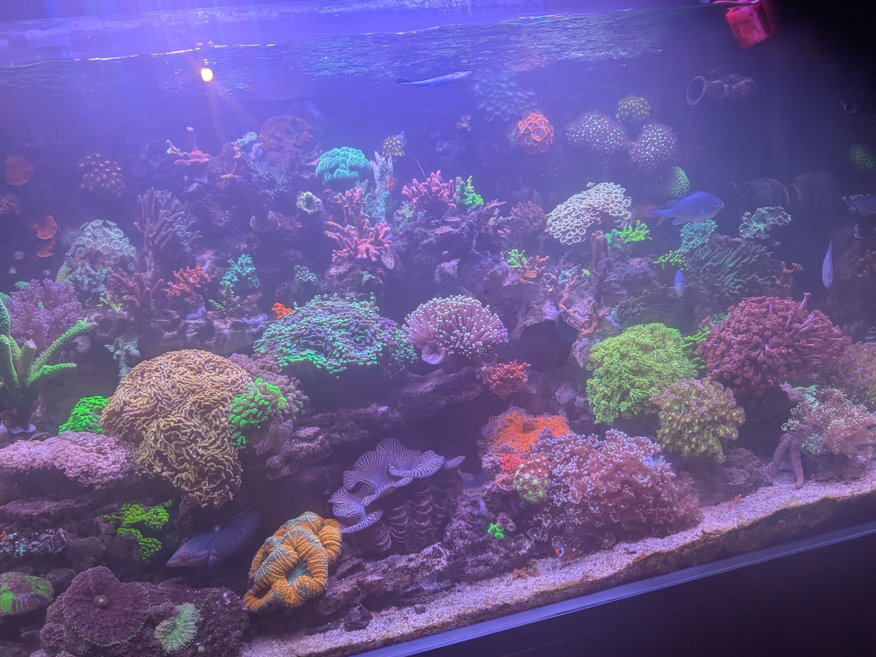 Tank Image