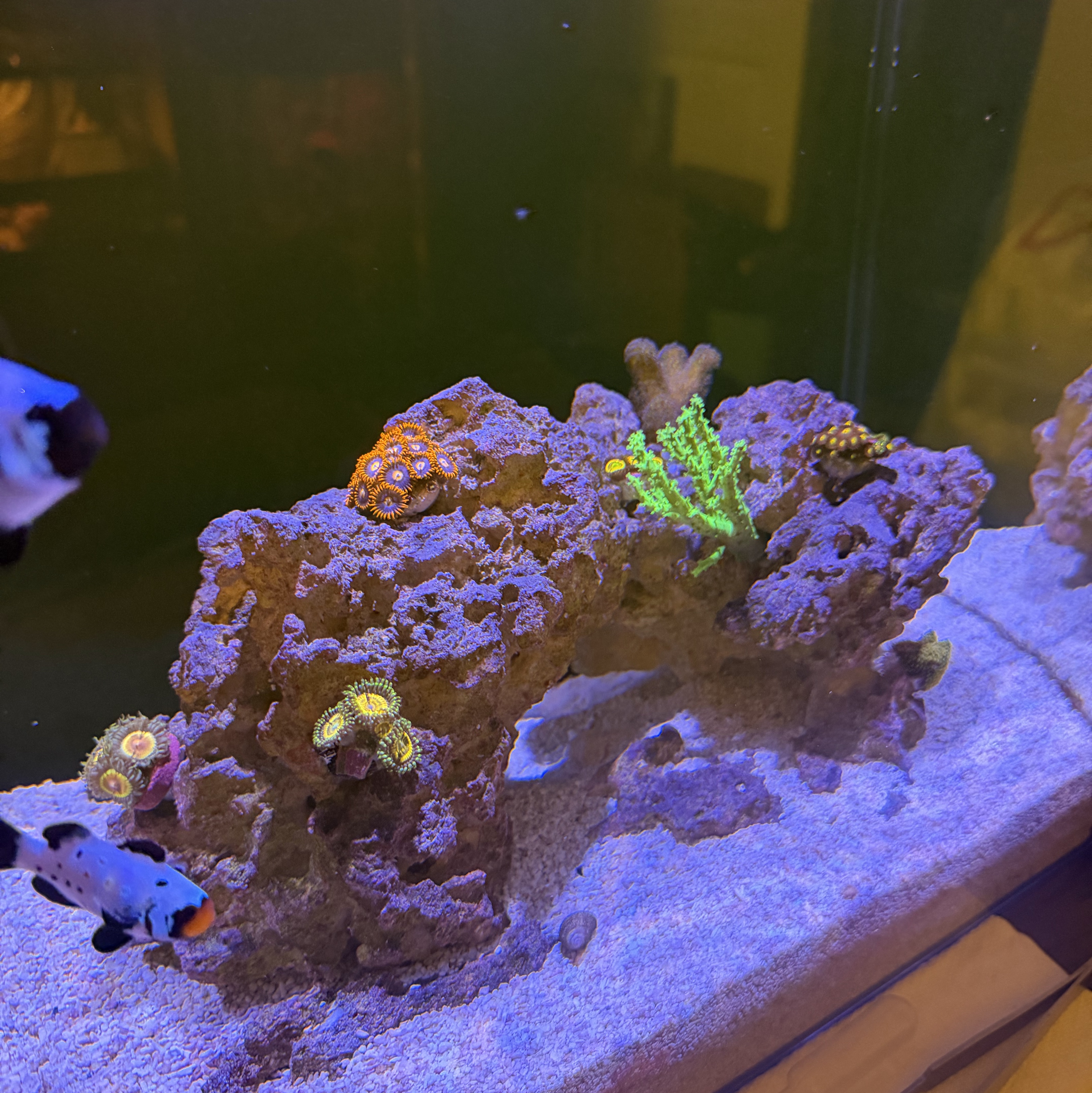 Tank Image