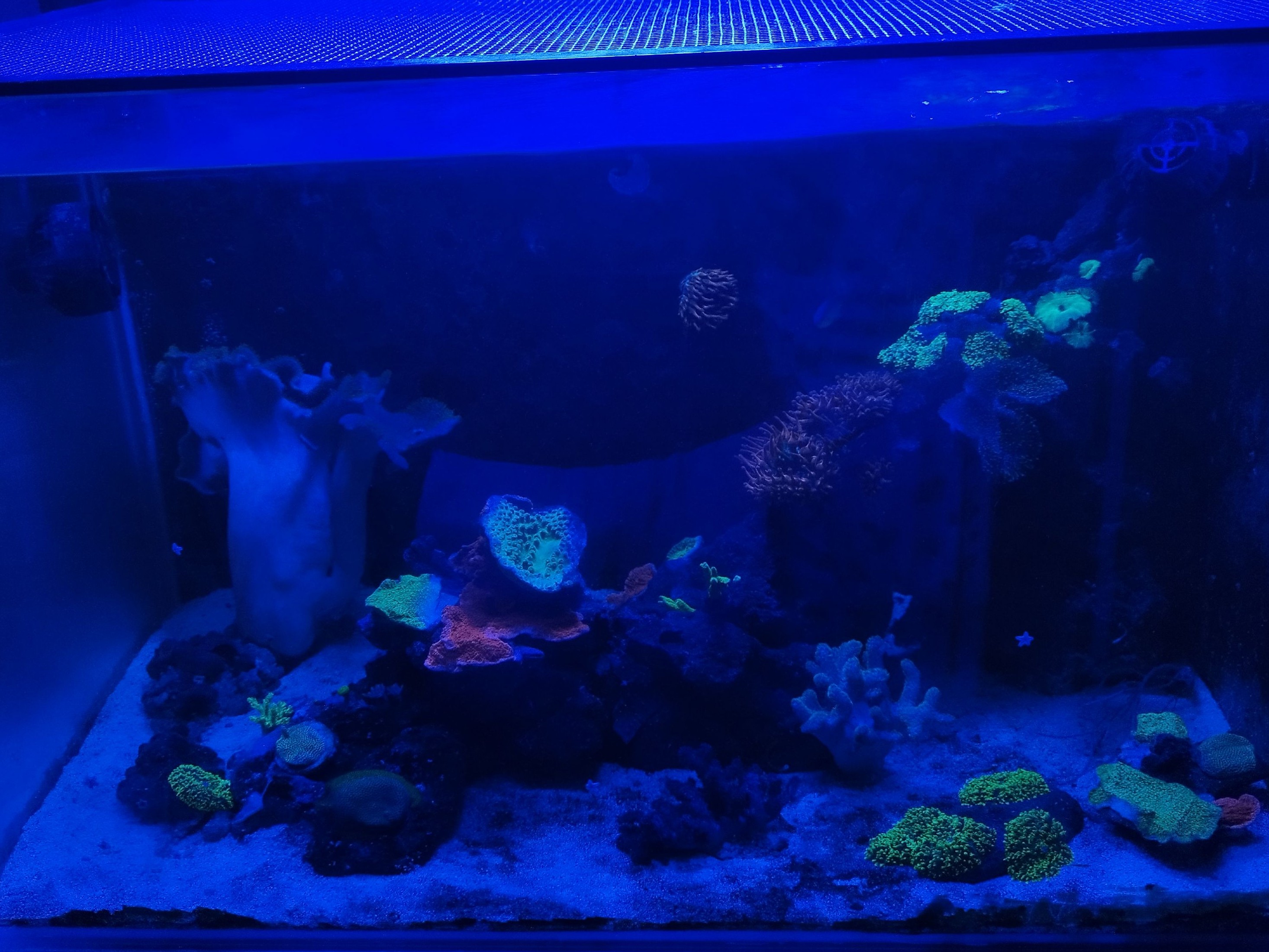 Tank Image
