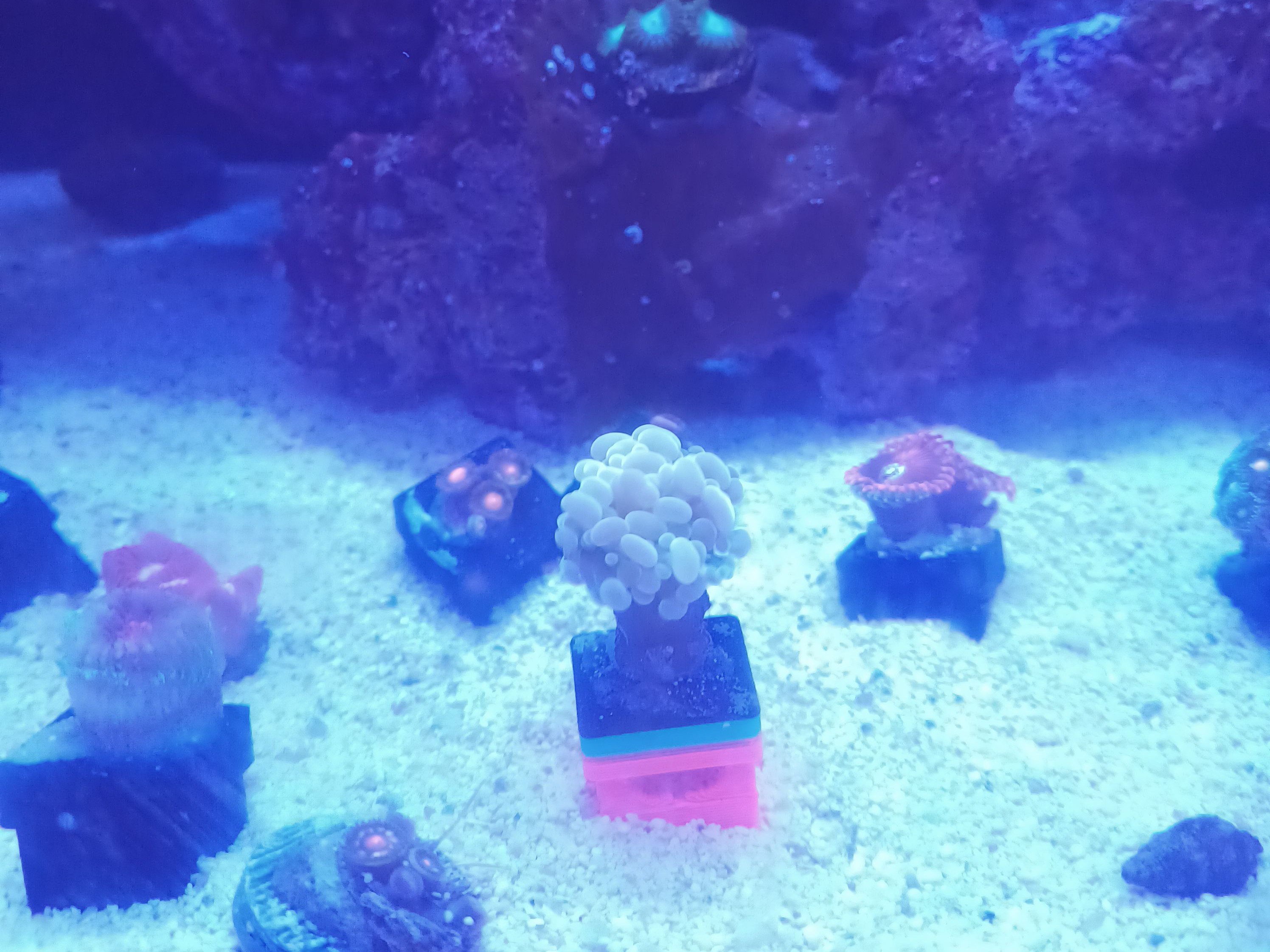 Tank Image