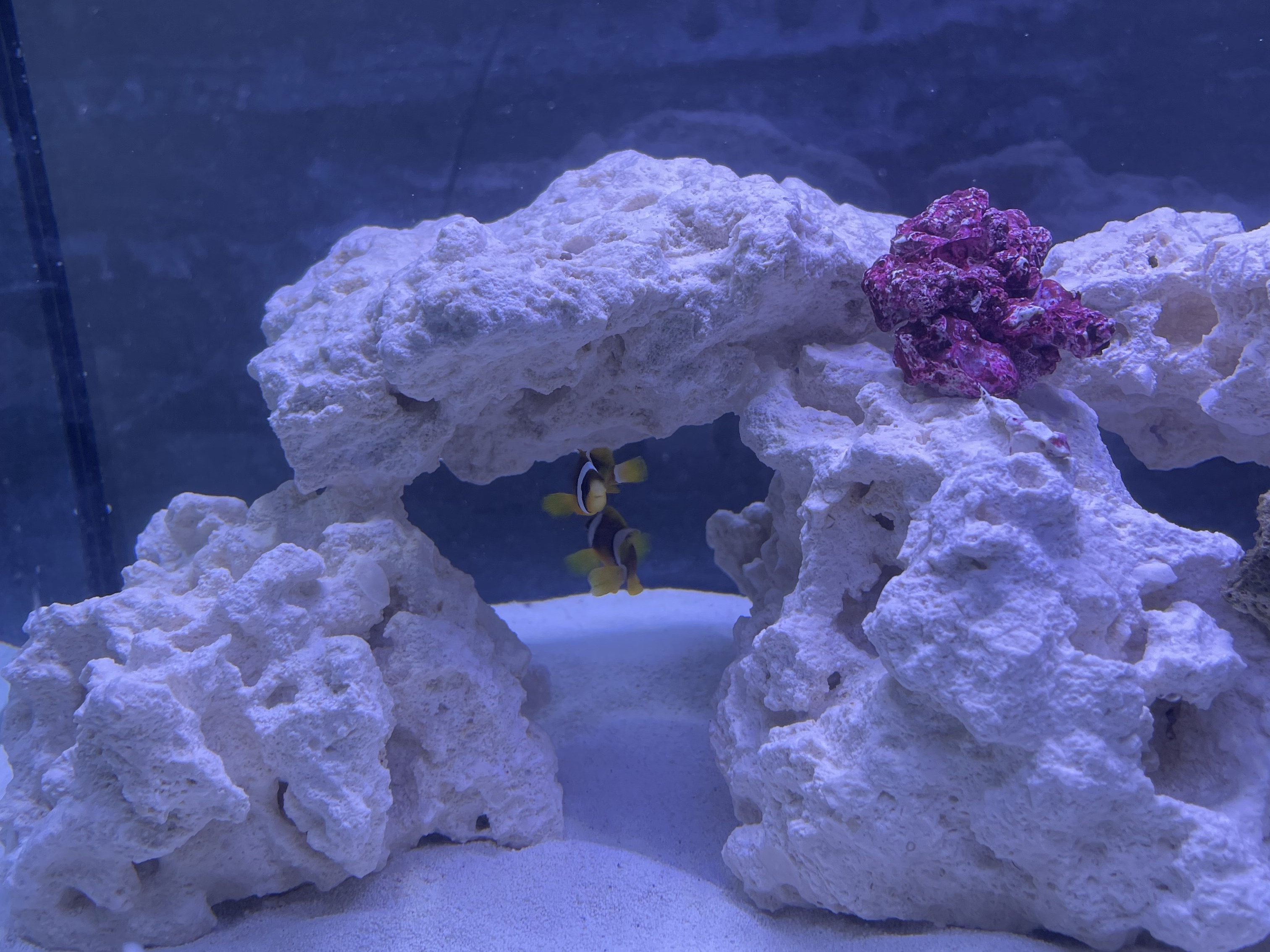 Tank Image