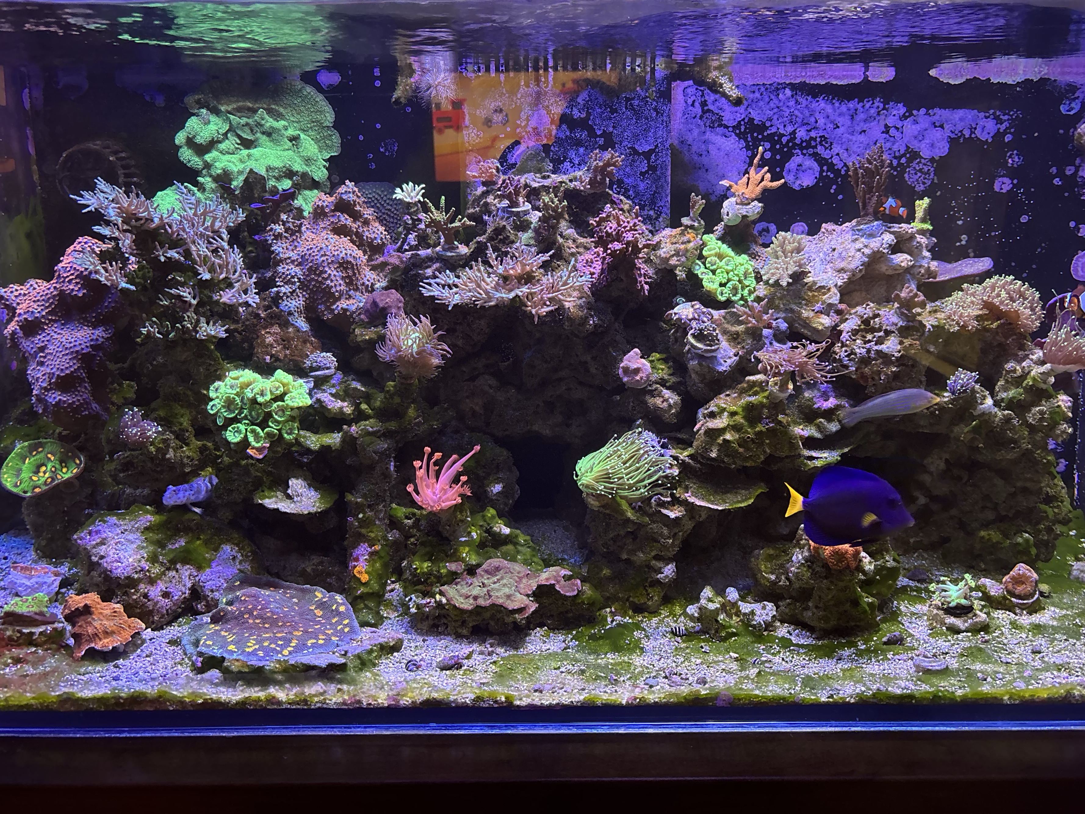 Tank Image