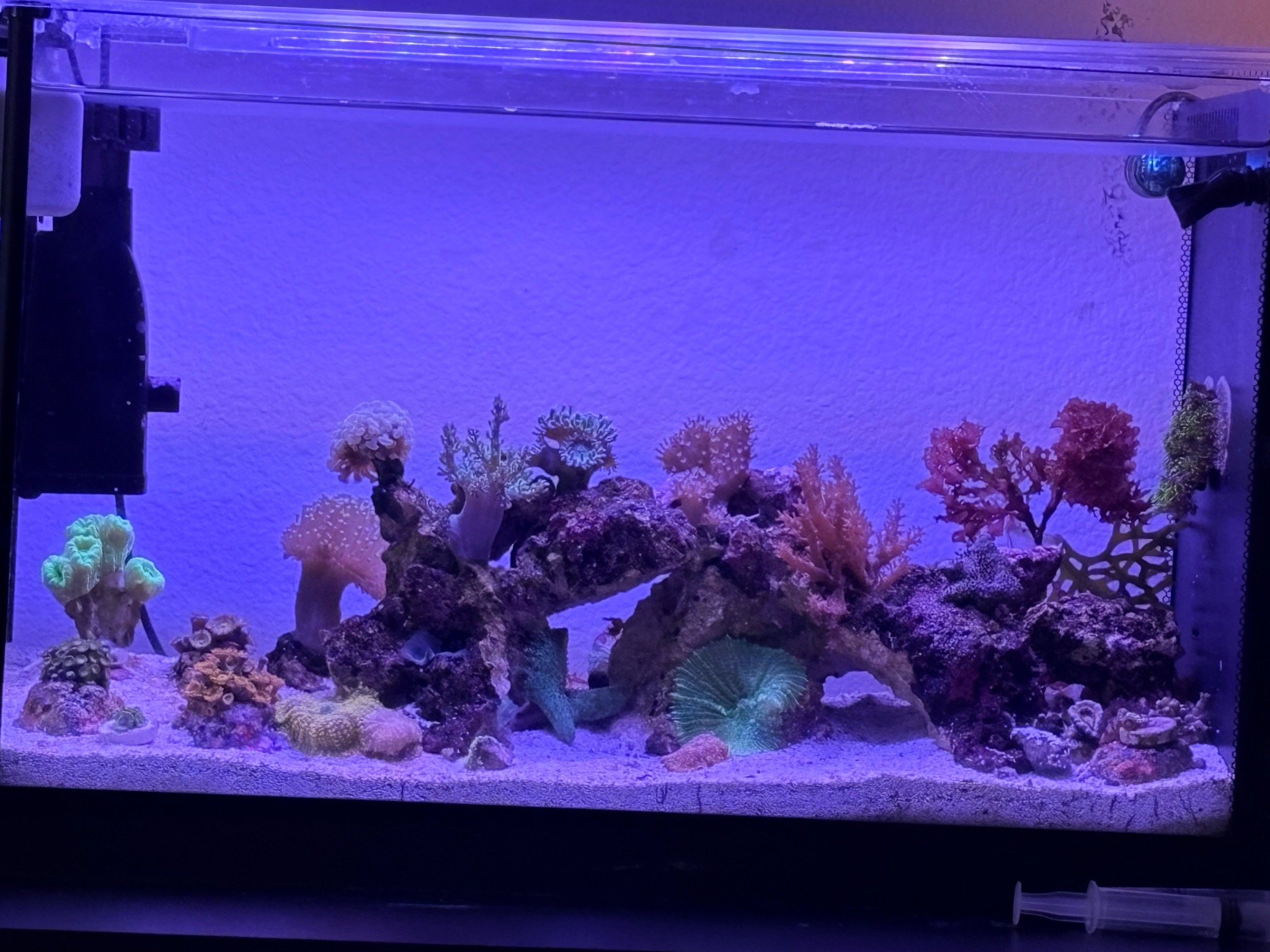 A few more updates to this one!