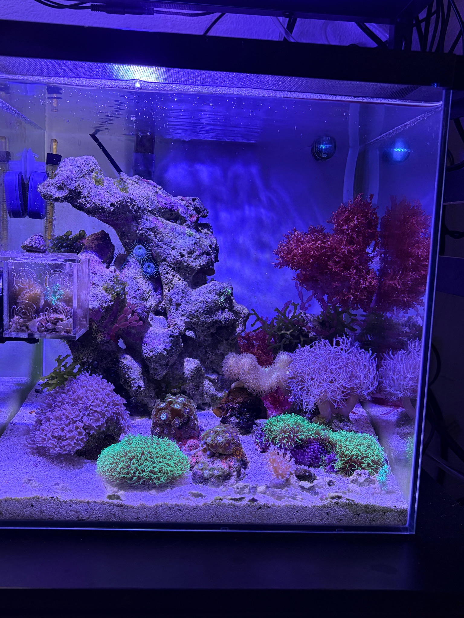 And the experimental is doing quite well too!