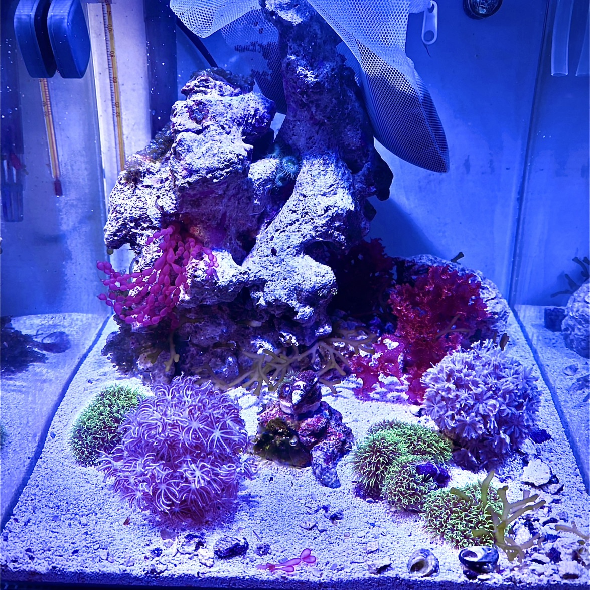 Tank Image