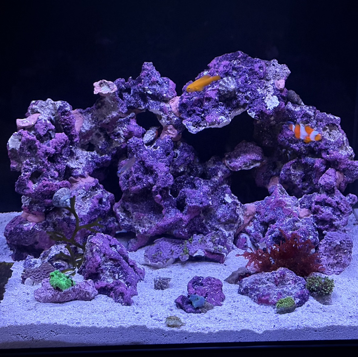Tank Image