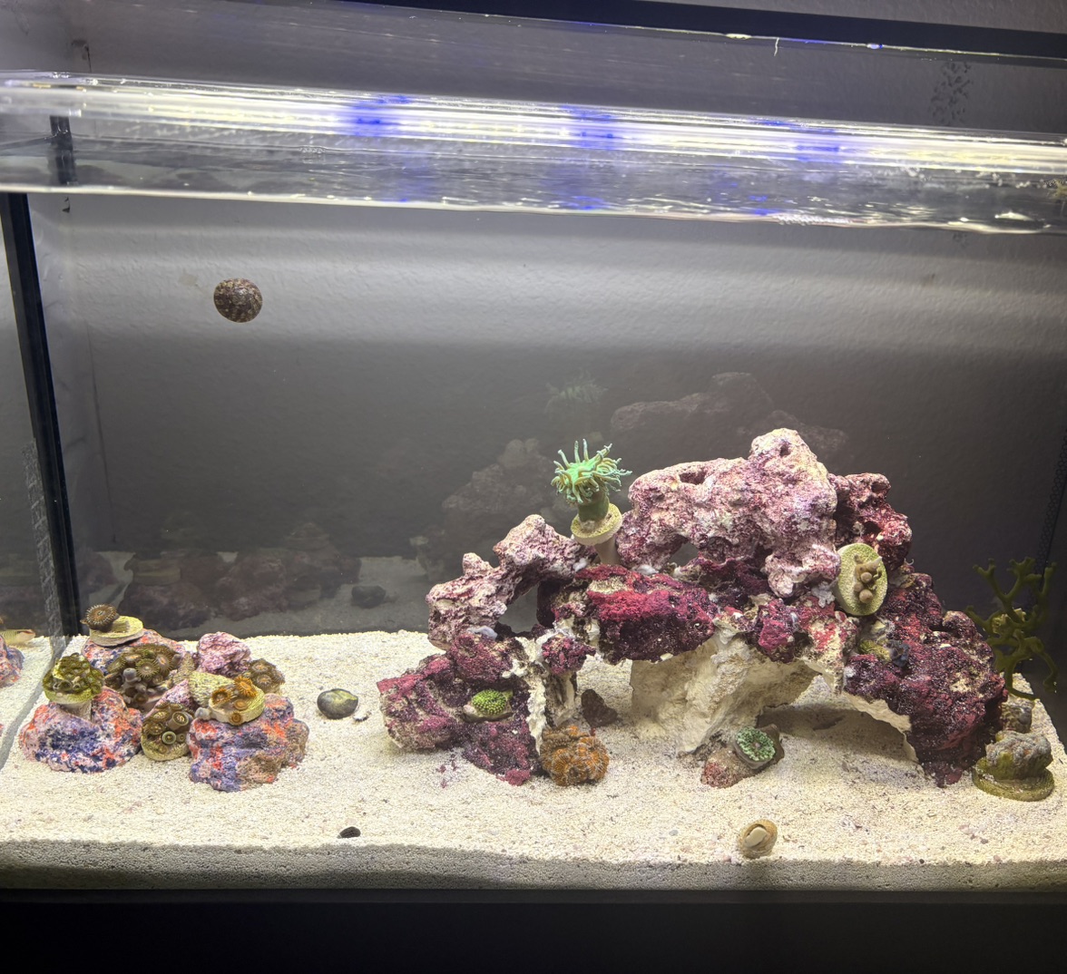 Tank Image