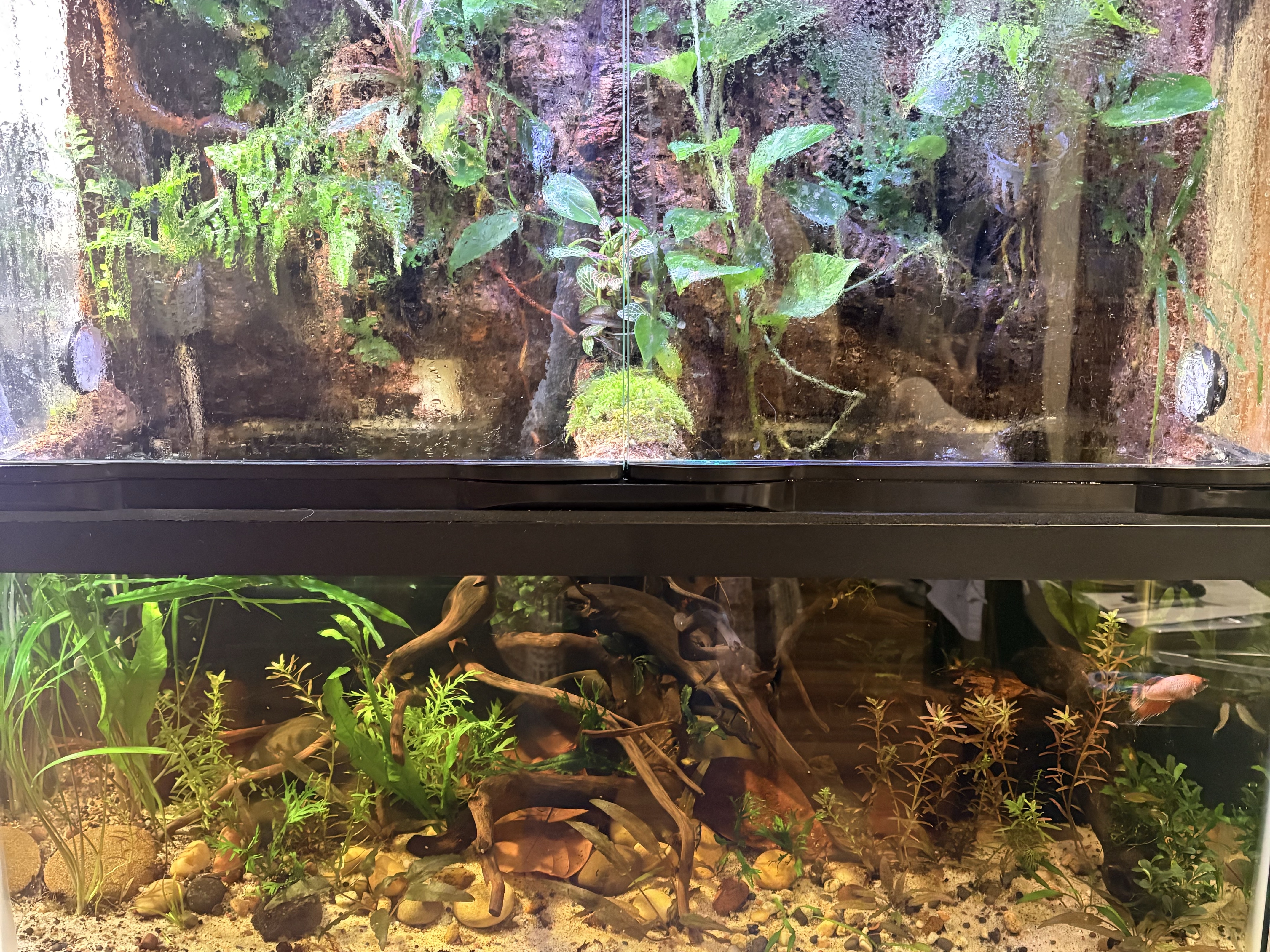 Tank Image