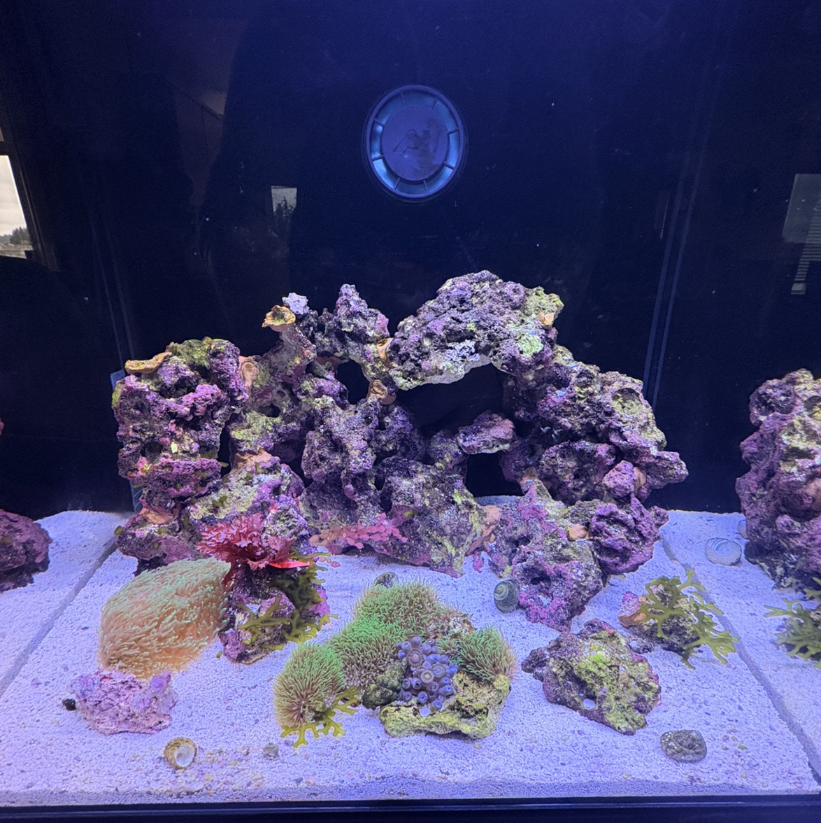Tank Image