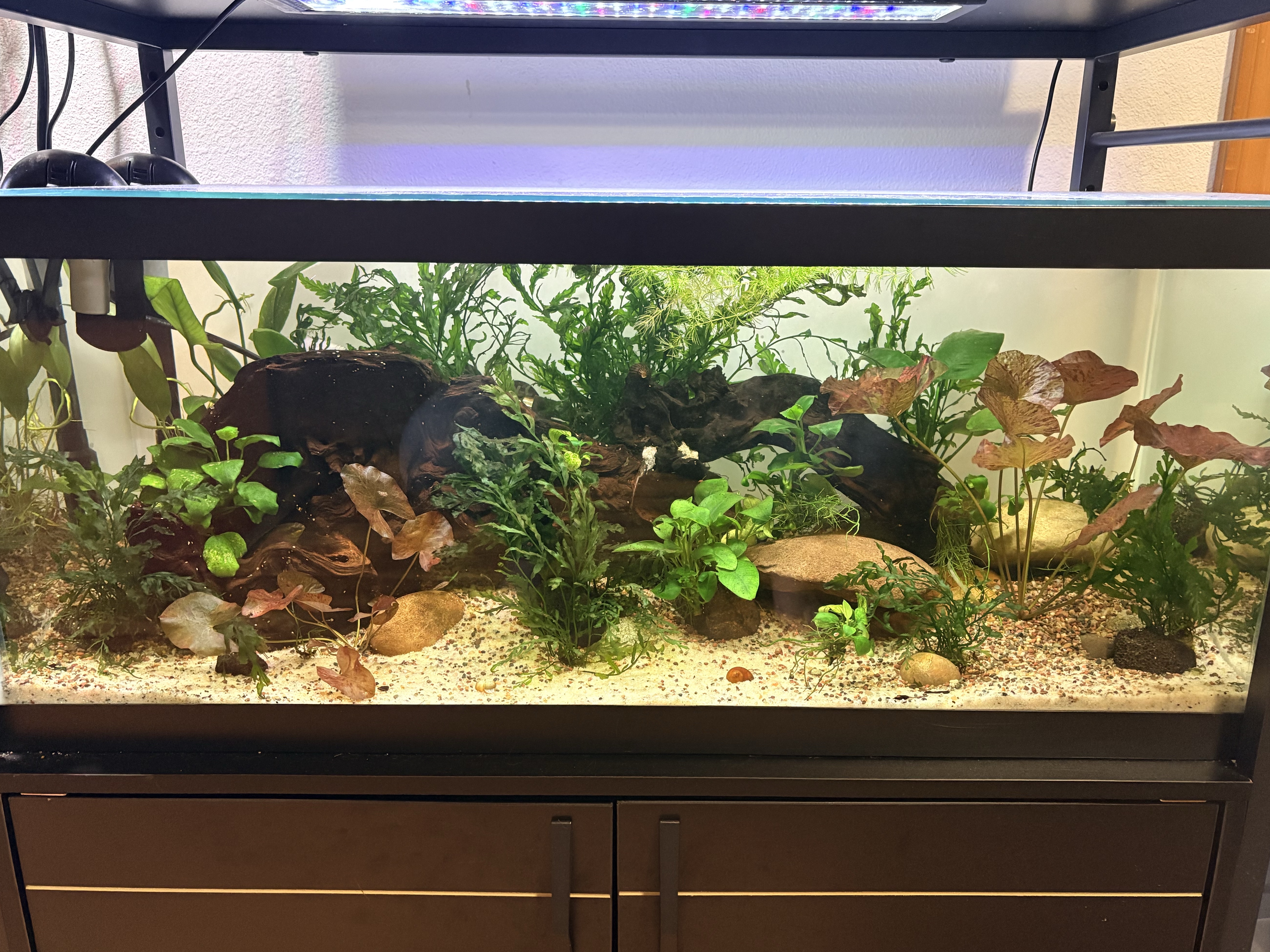 Tank Image