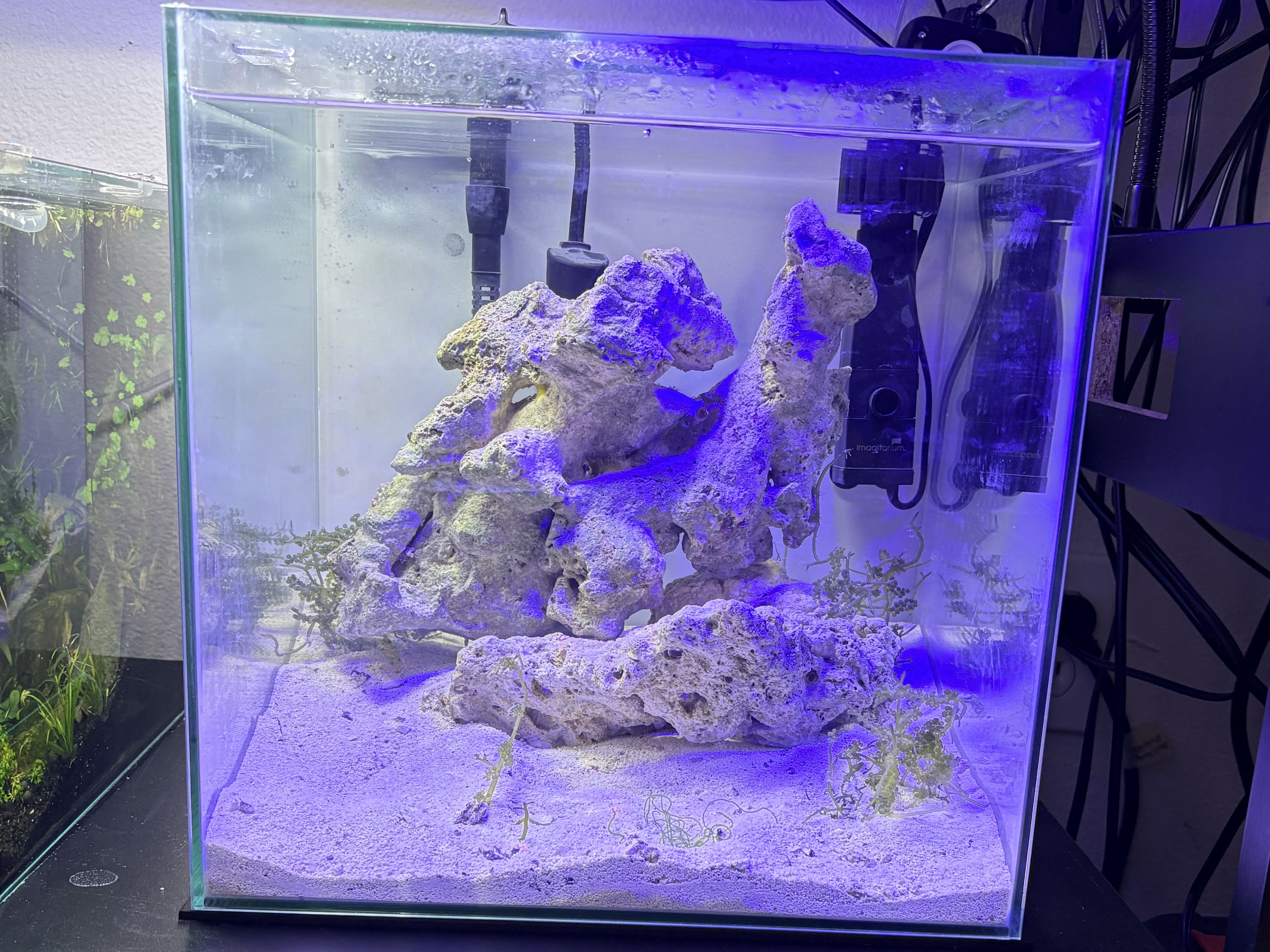 Tank Image