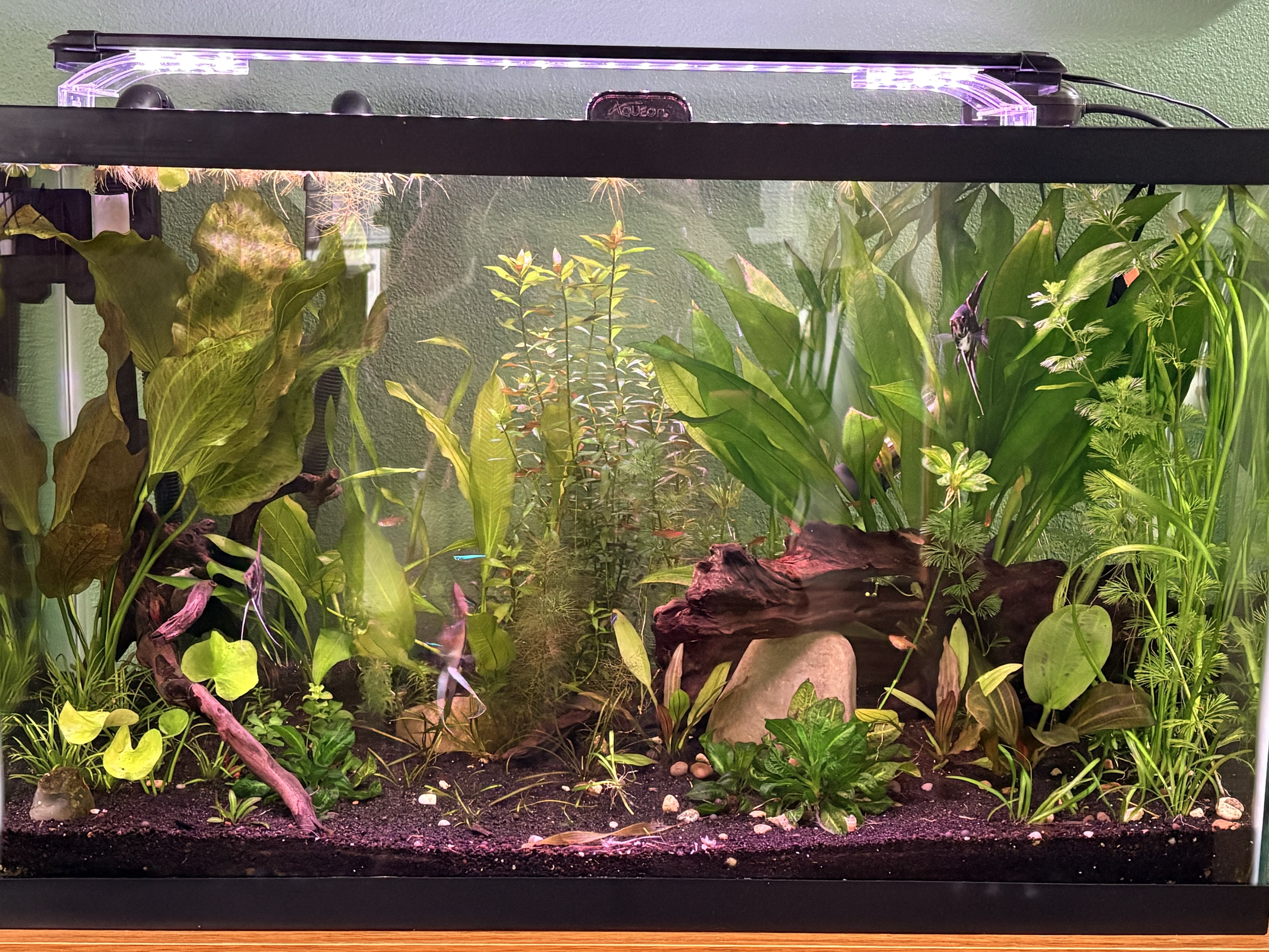 Tank Image