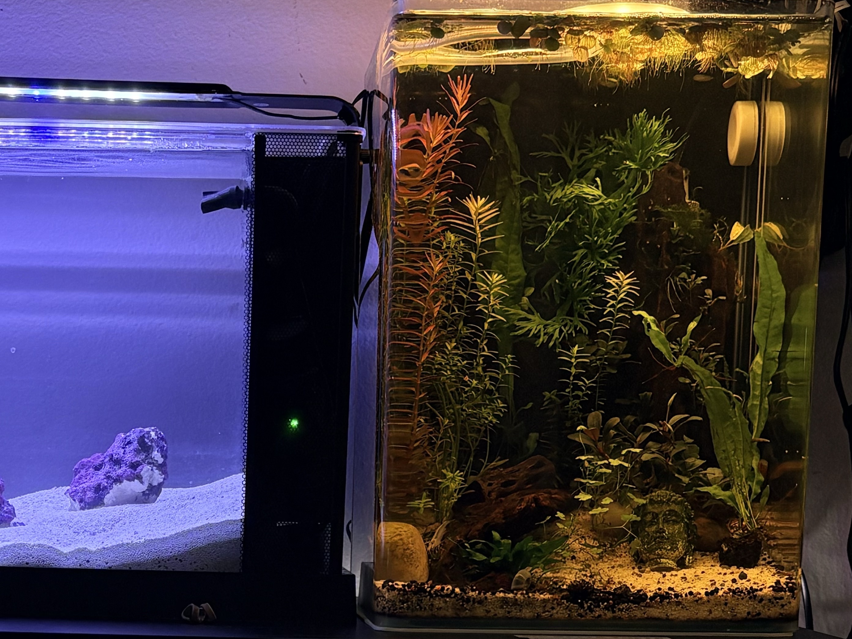 Tank Image
