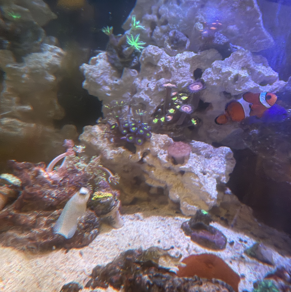 Tank Image