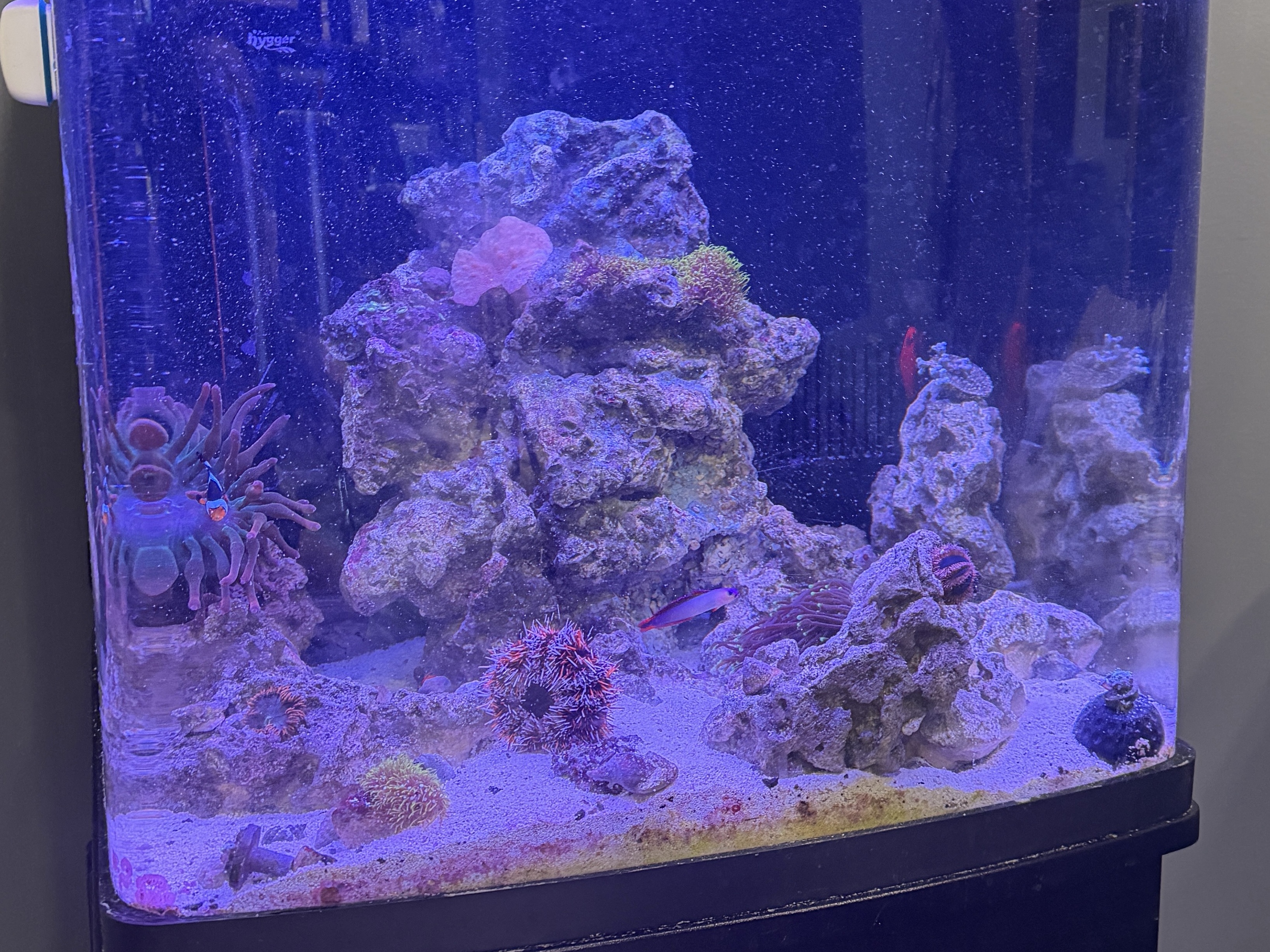 Tank Image