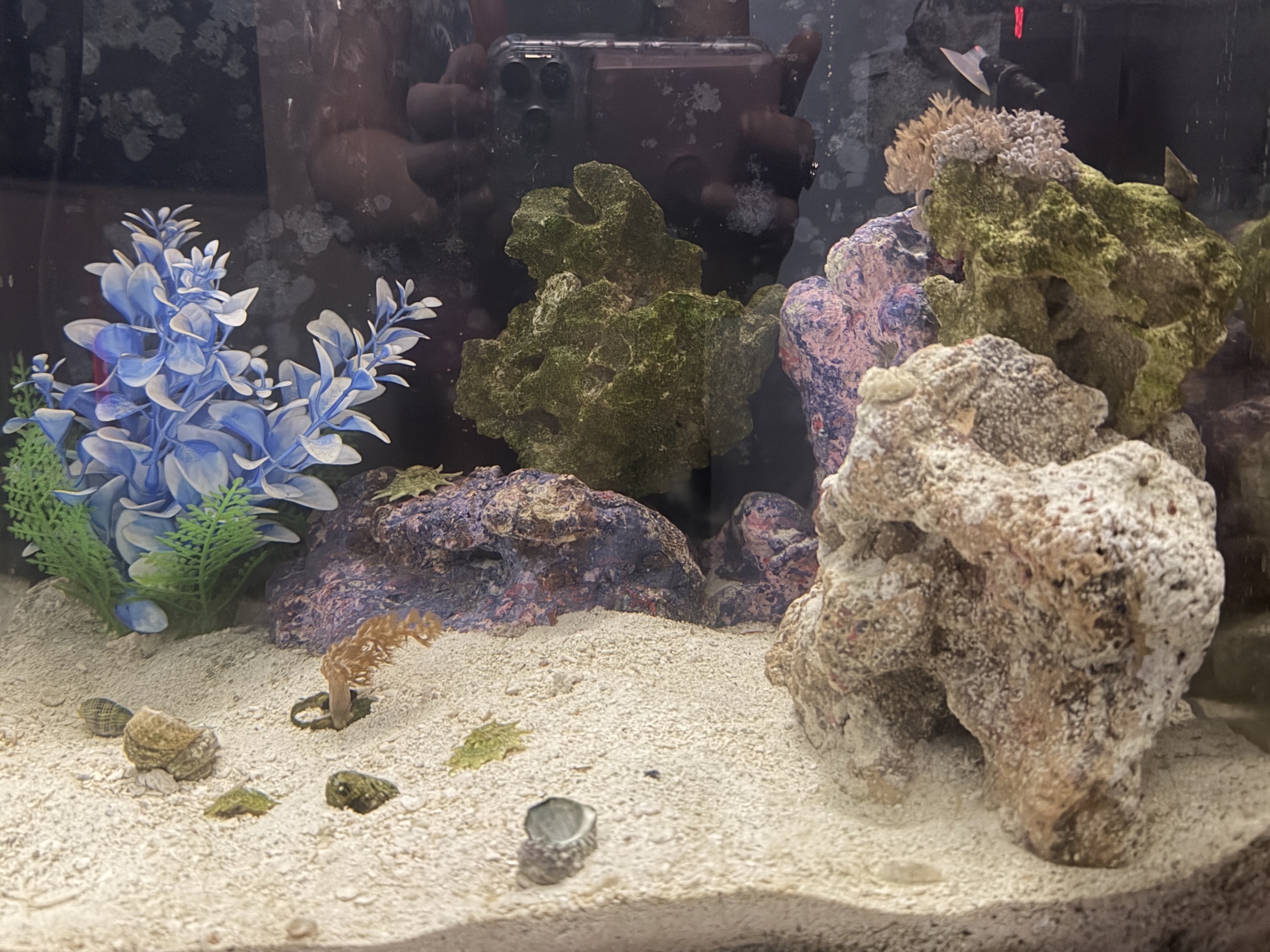 Tank Image