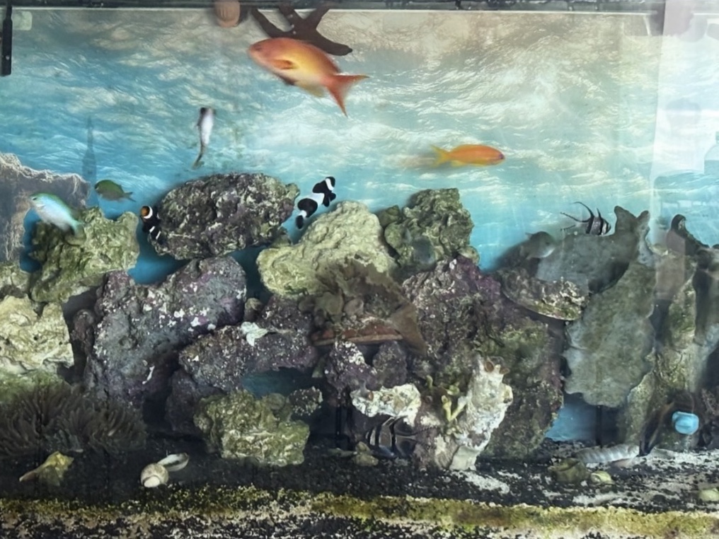 Tank Image