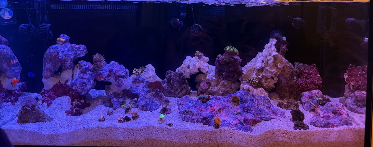 Tank Image