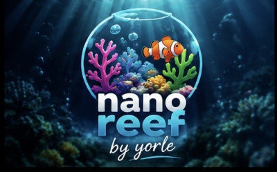 yorle_reef