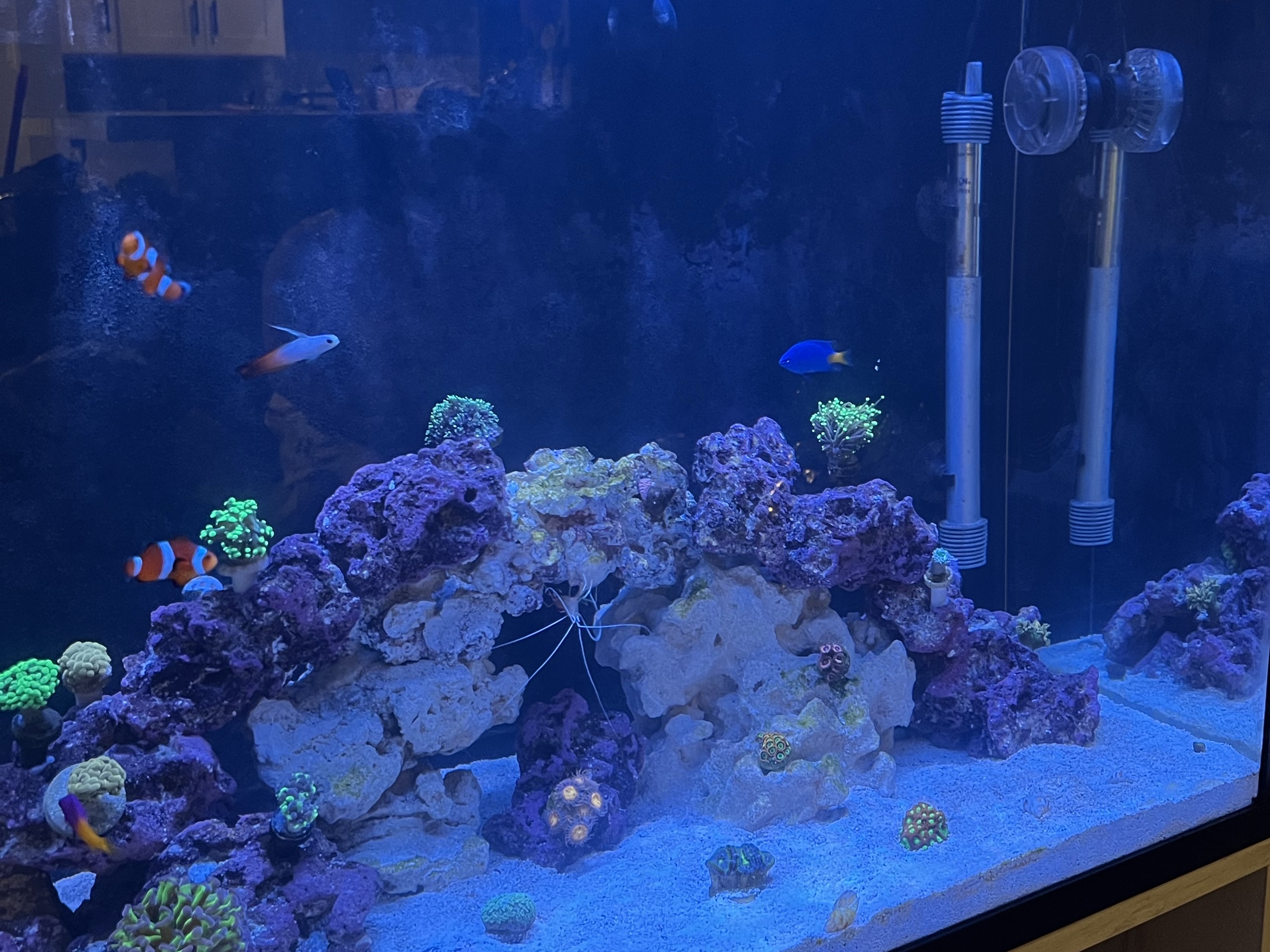 Tank Image