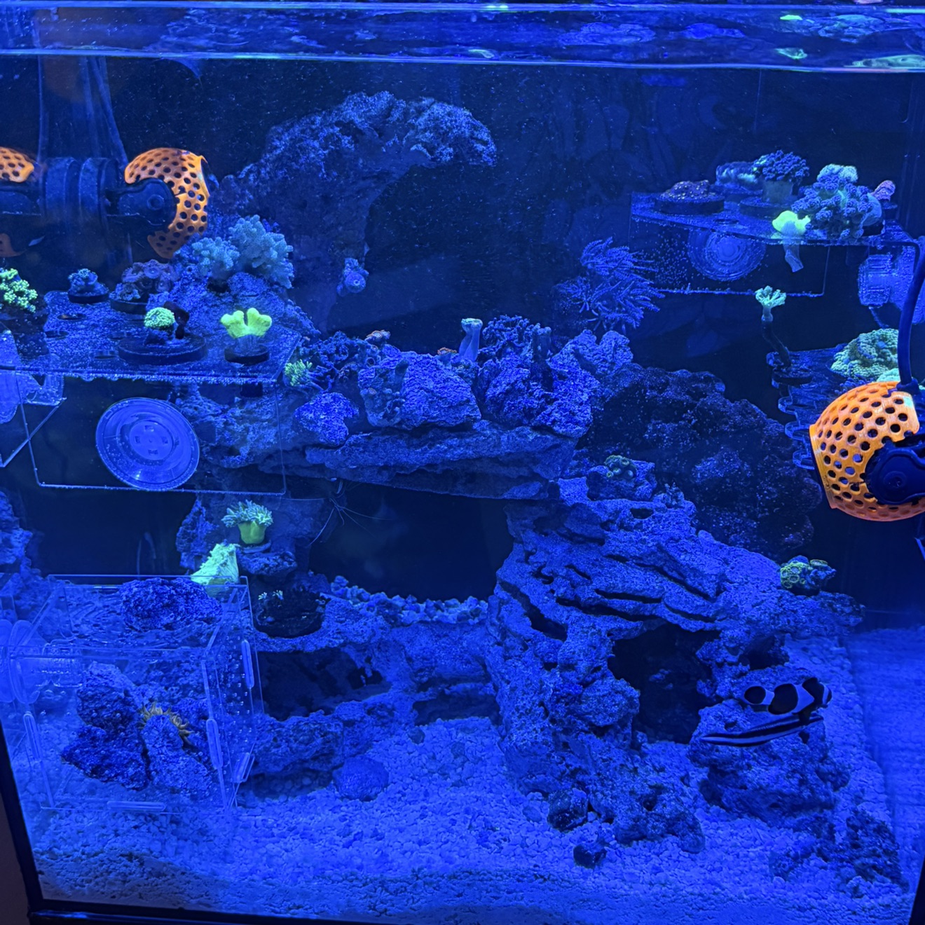 Tank Image