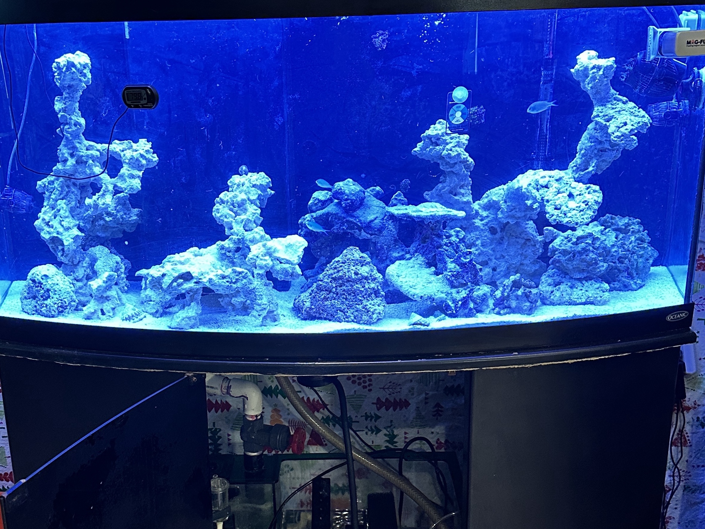 Tank Image