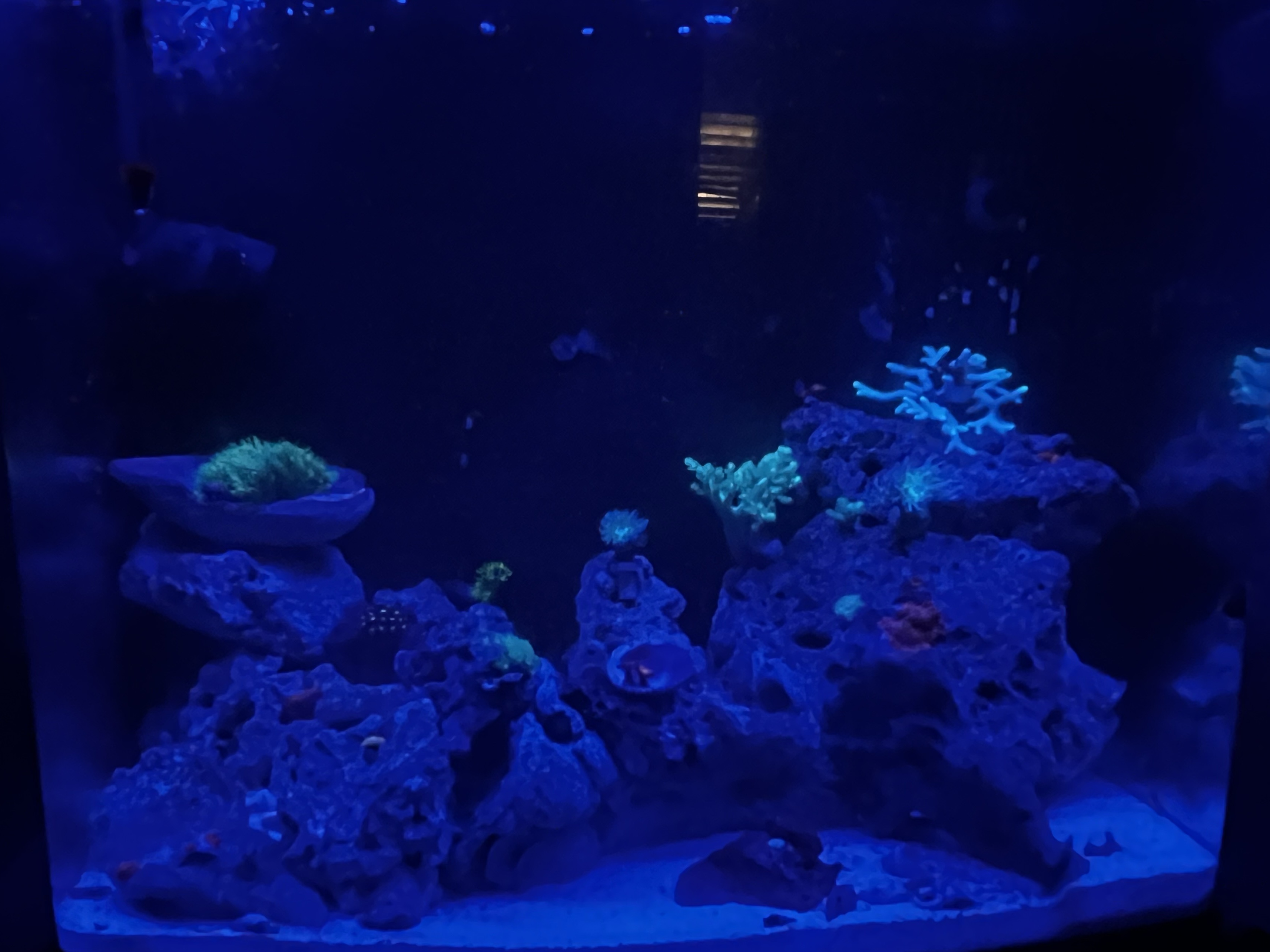 Tank Image
