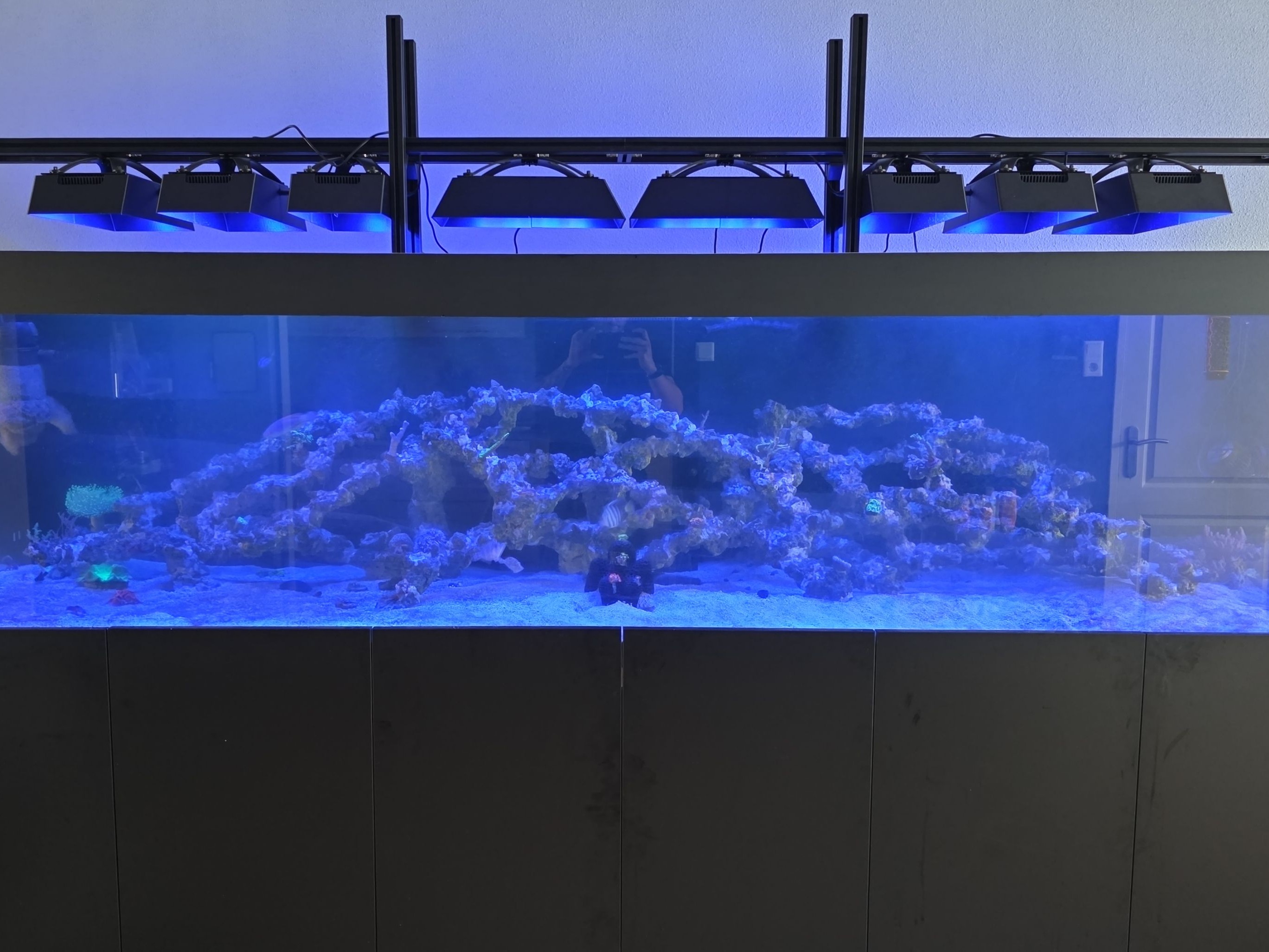 Tank Image