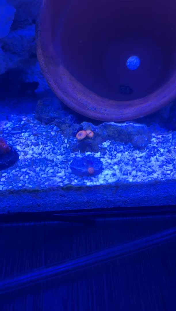 ReefBay post