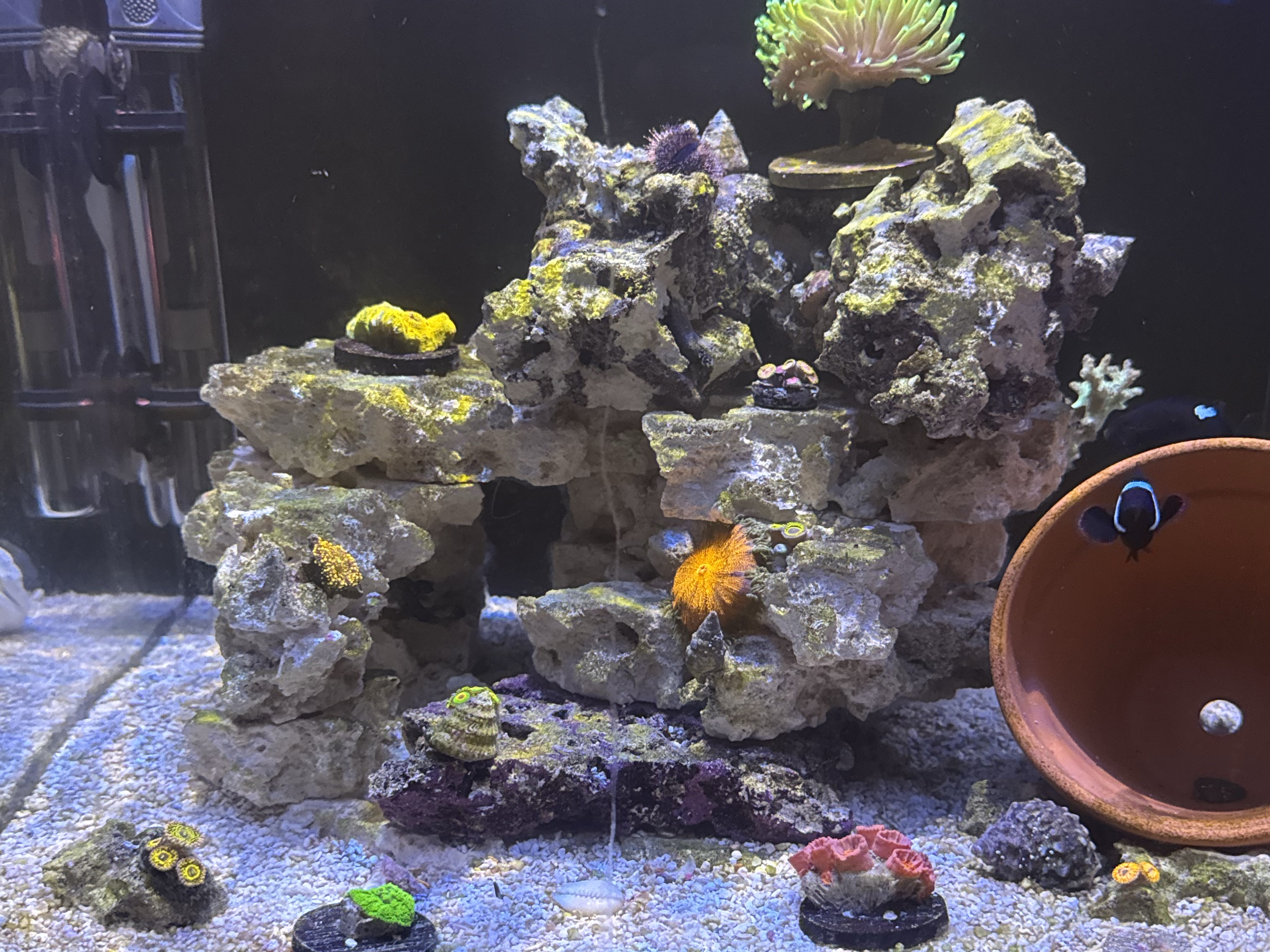 Tank Image