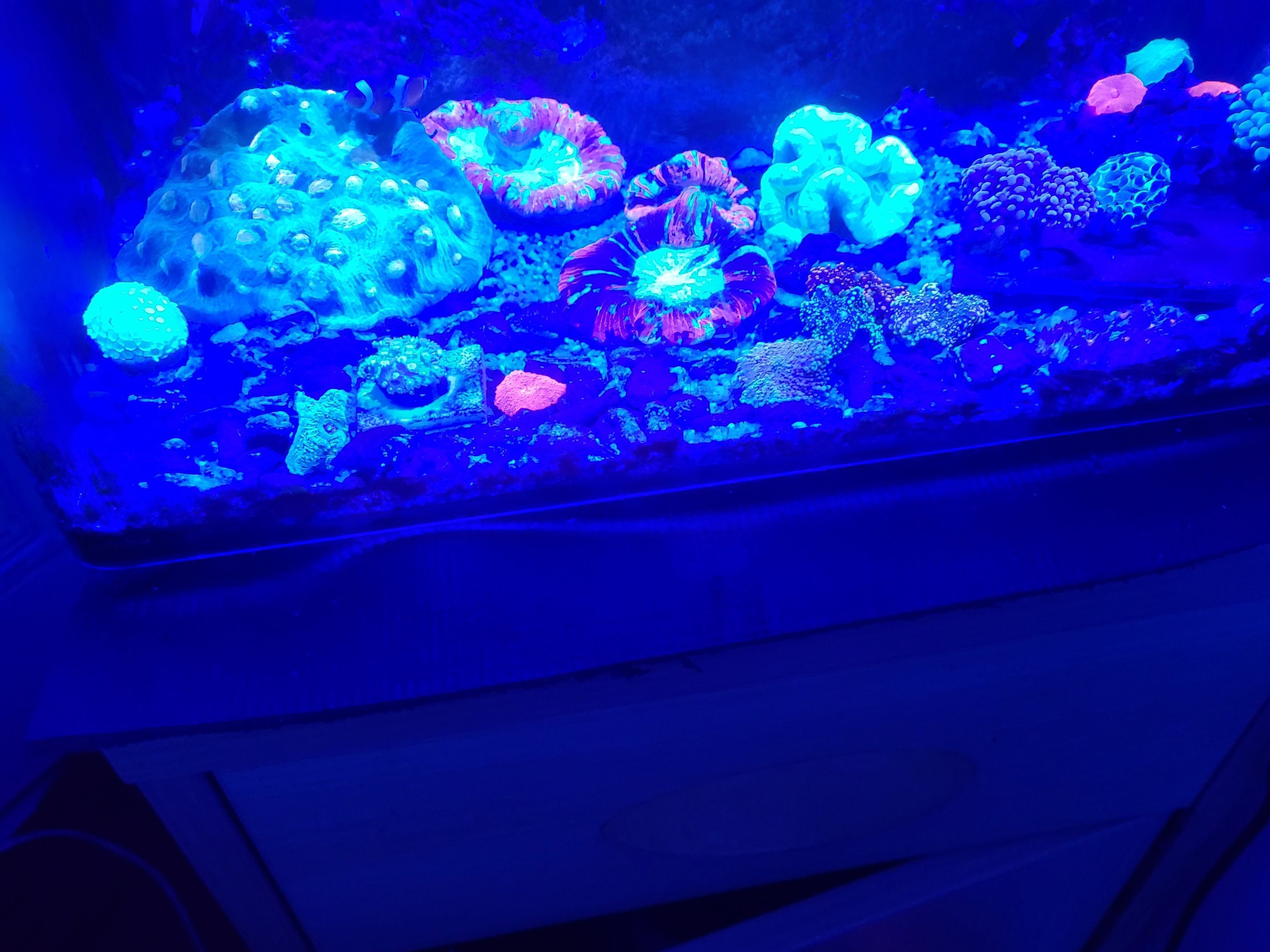 Tank Image