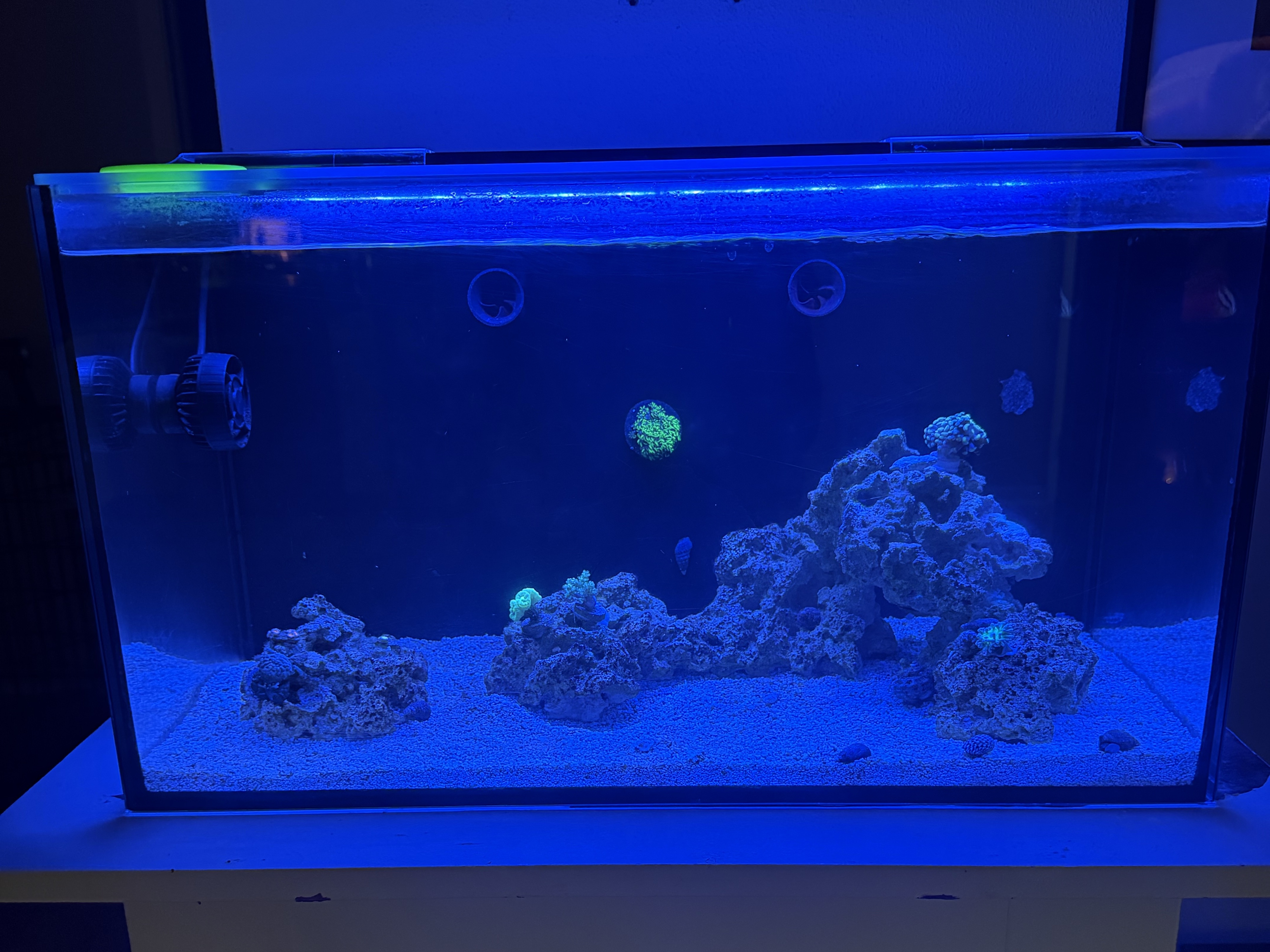Tank Image