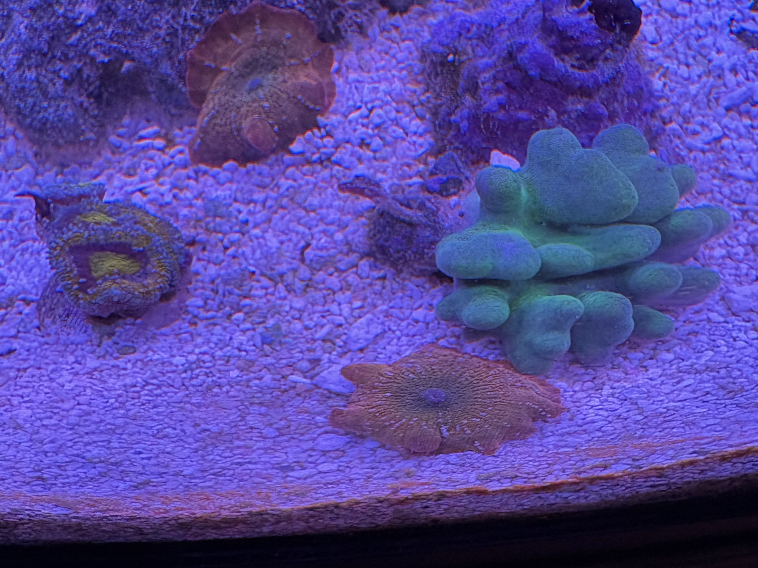 Tank Image