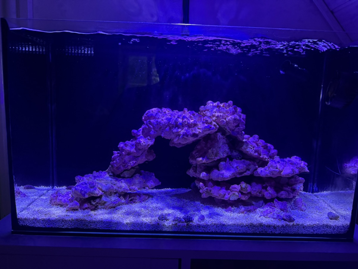 Tank Image