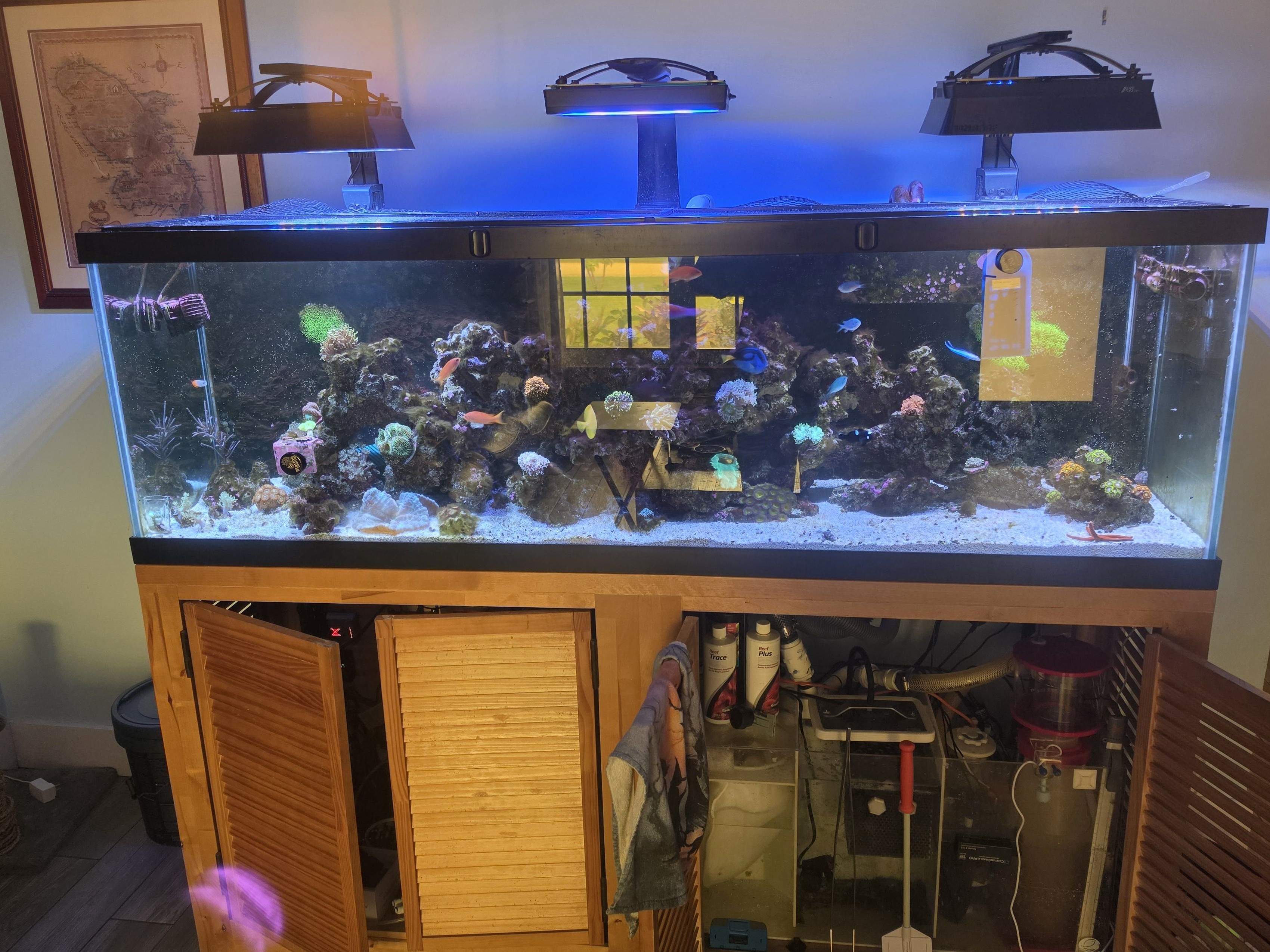 Tank Image