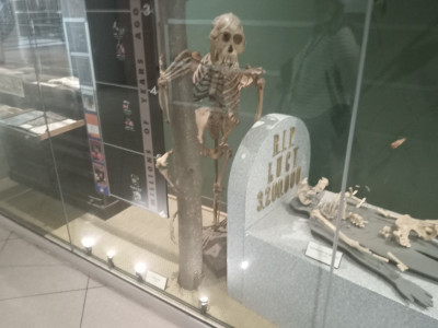 terminallyonline