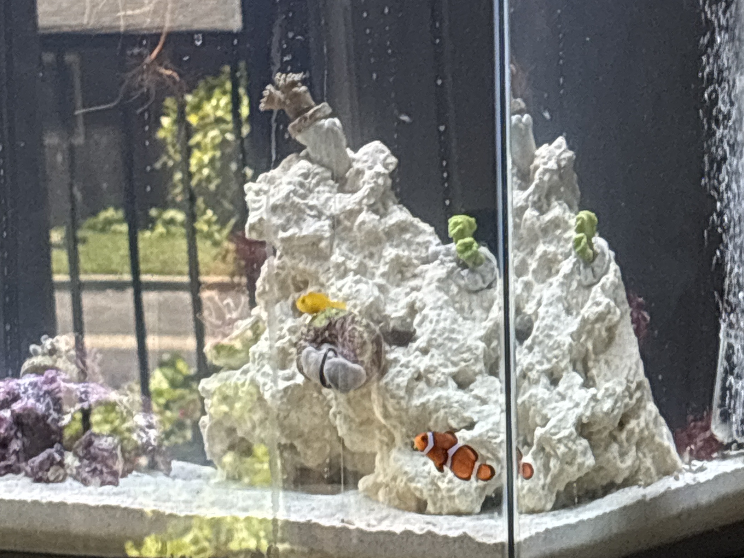 Tank Image