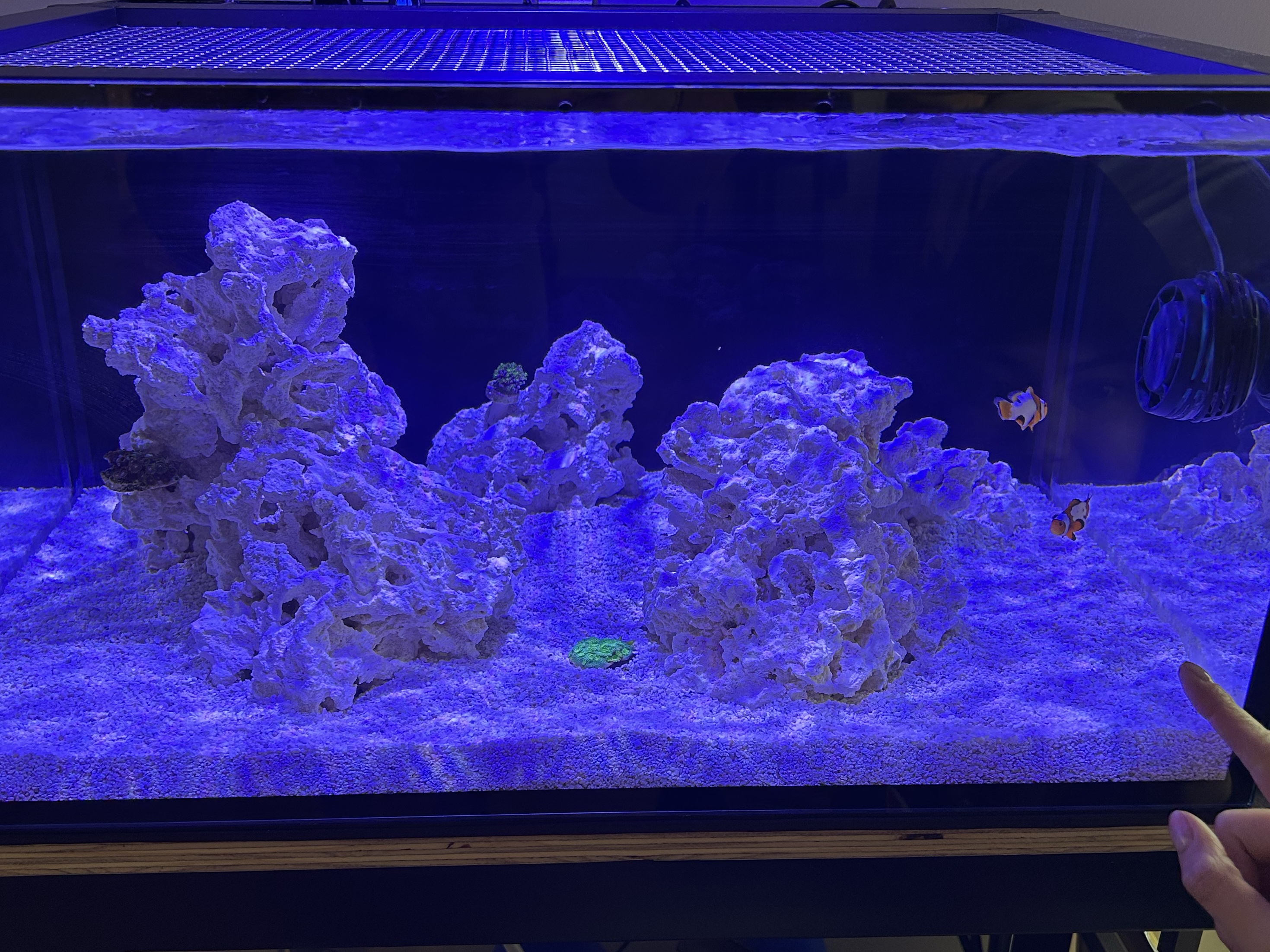 Tank Image