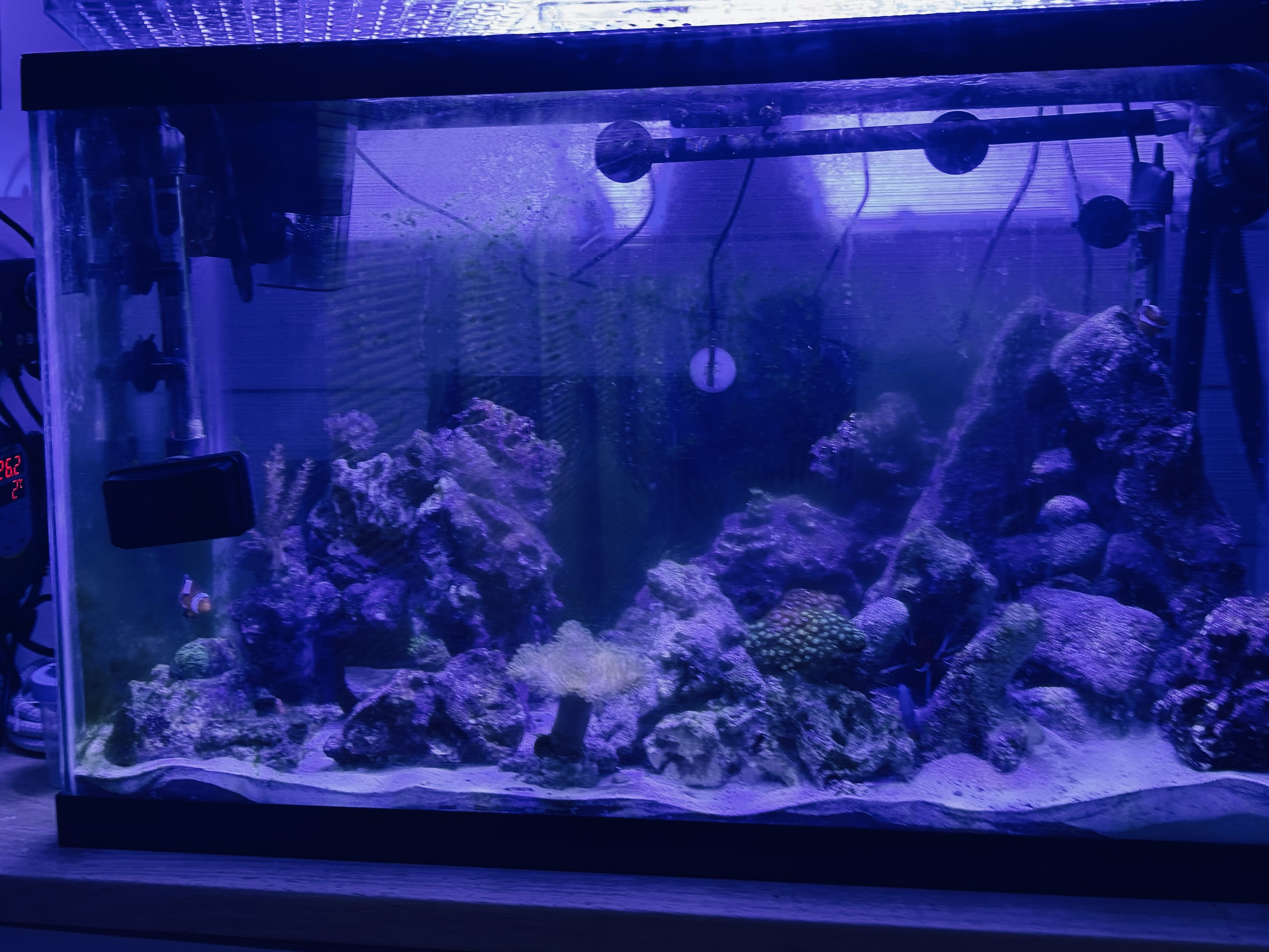 Tank Image