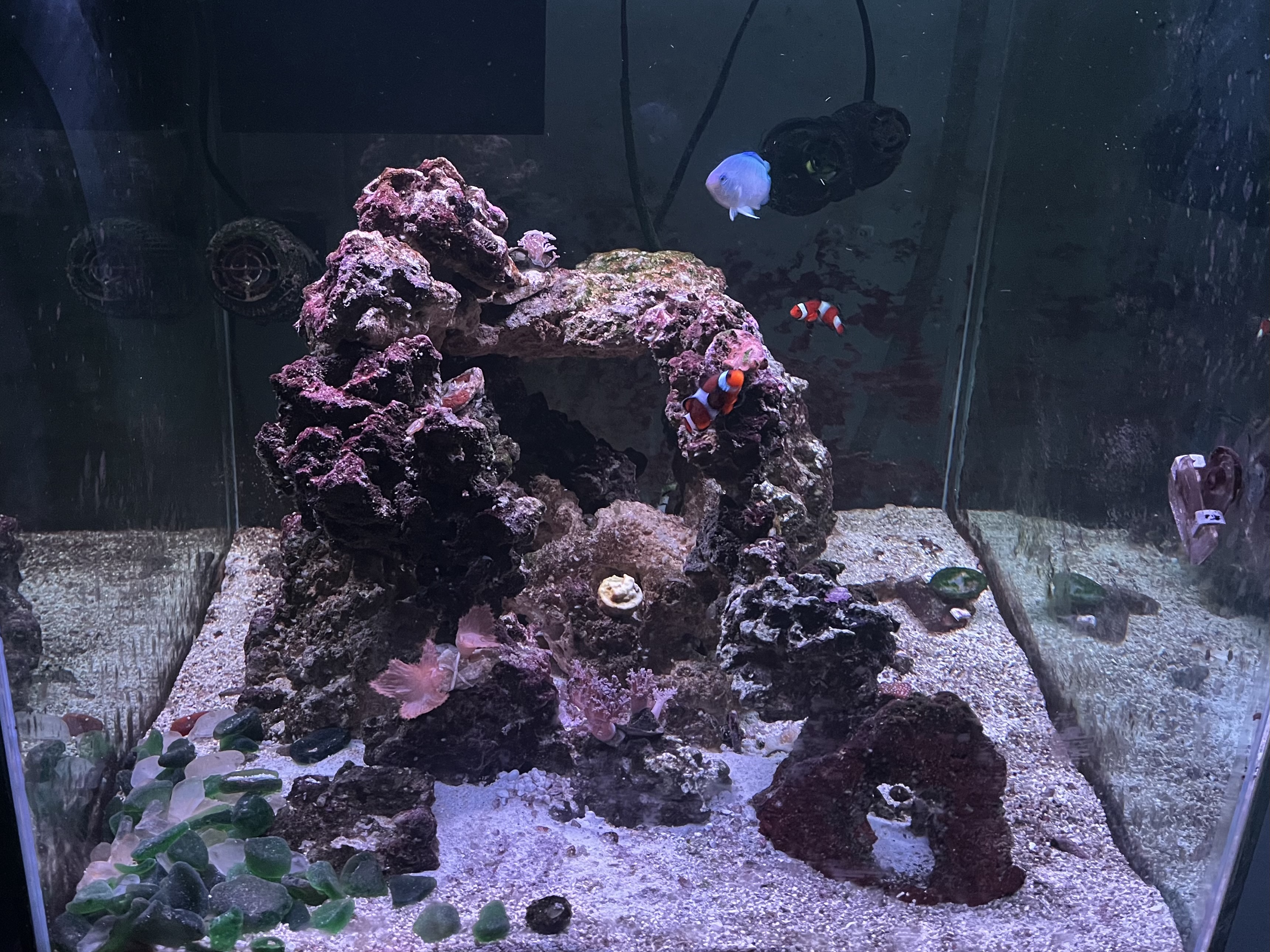 Tank Image