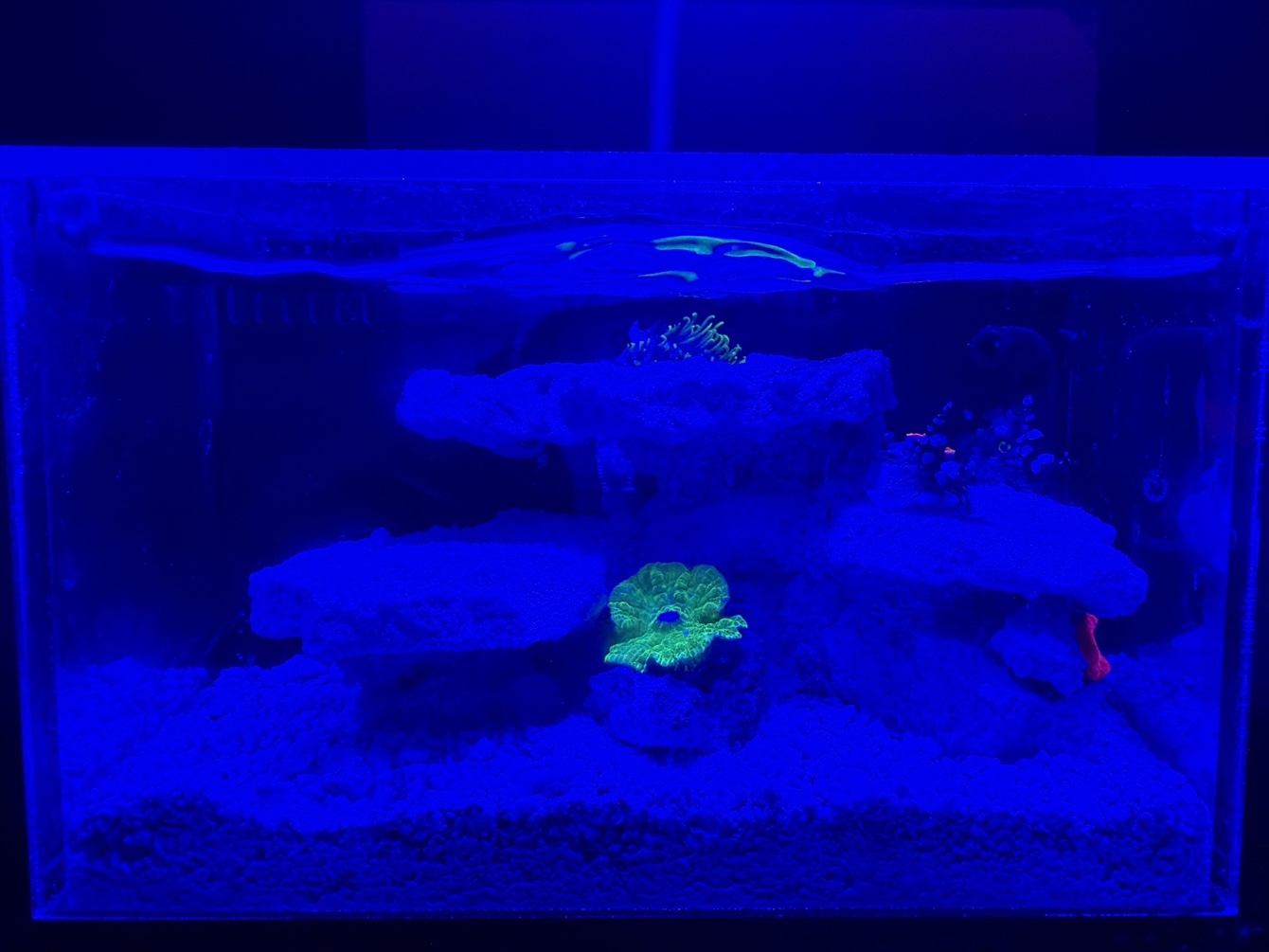 Tank Image