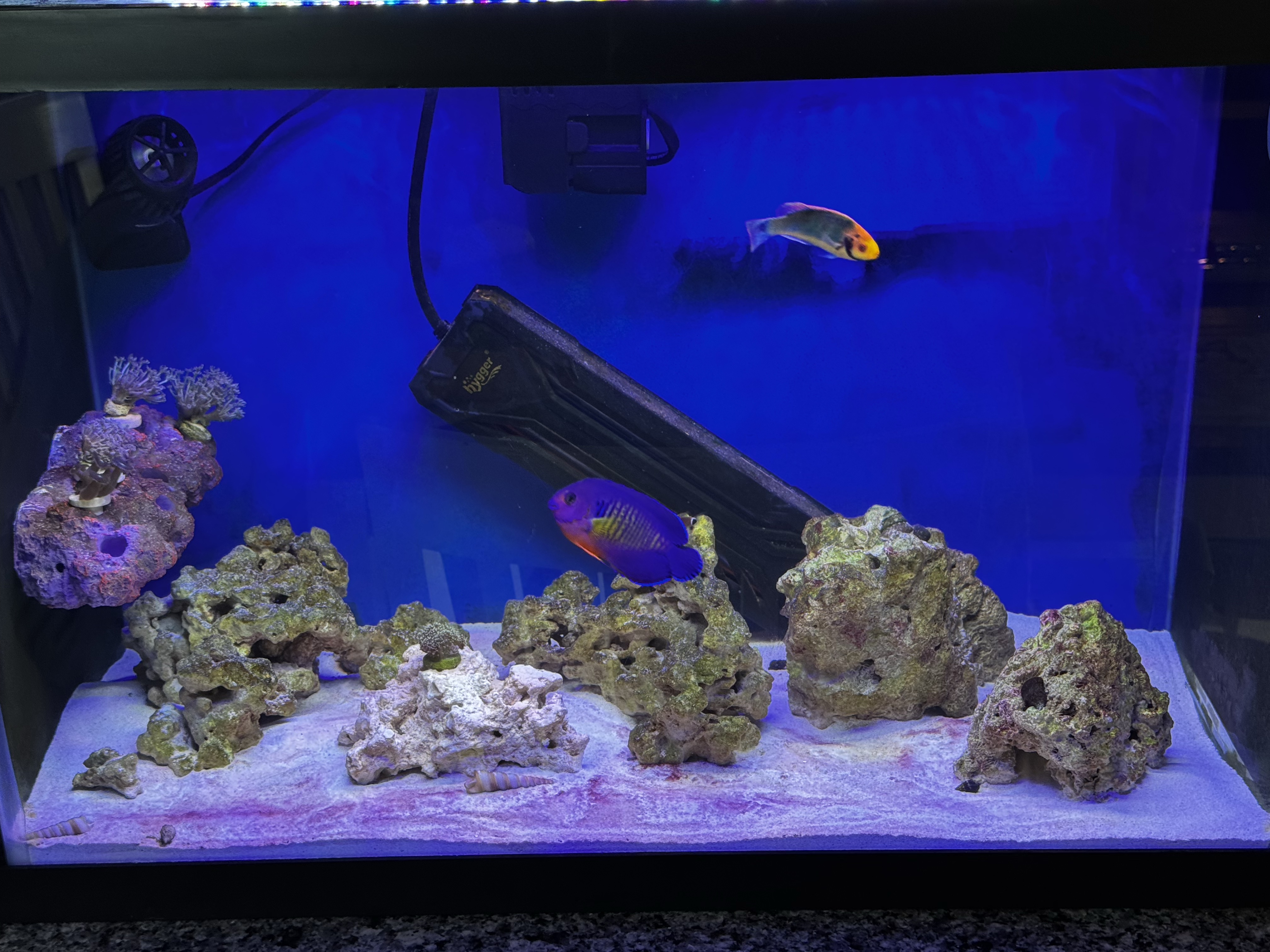 Tank Image