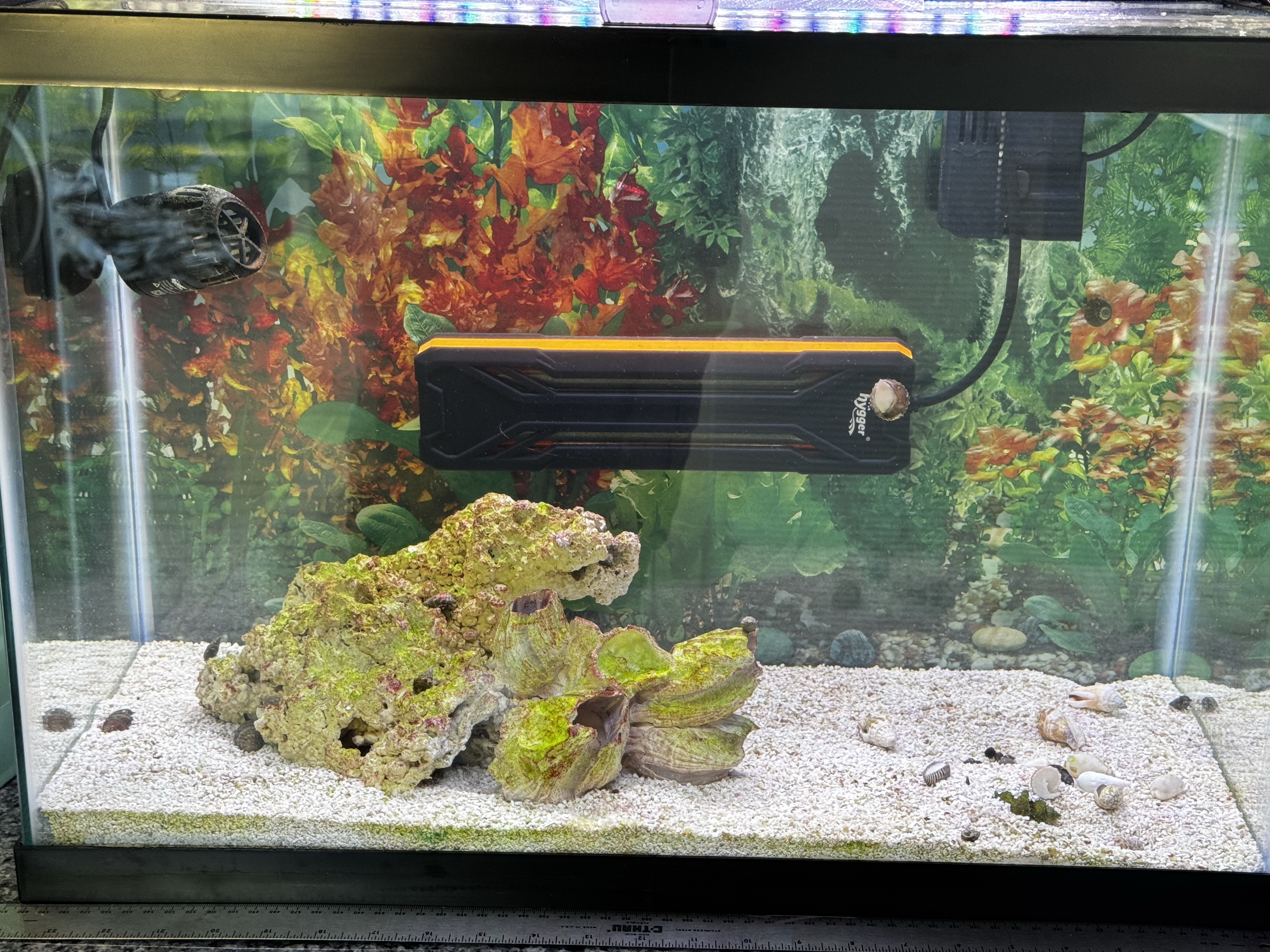 Tank Image