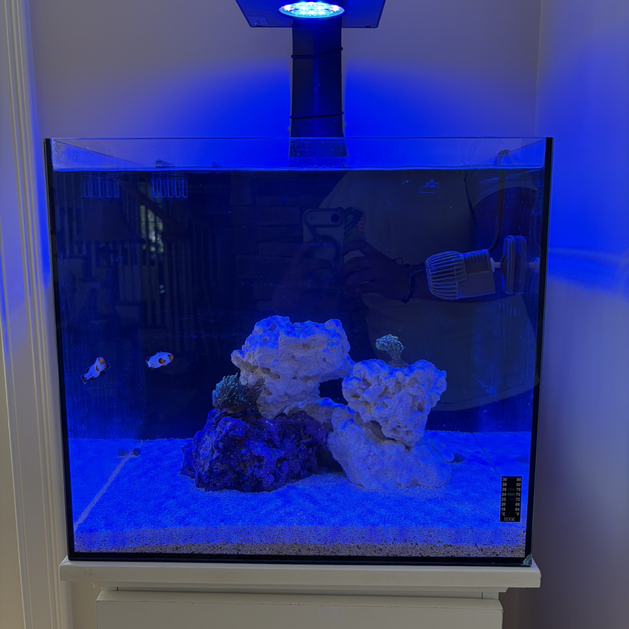 Tank Image