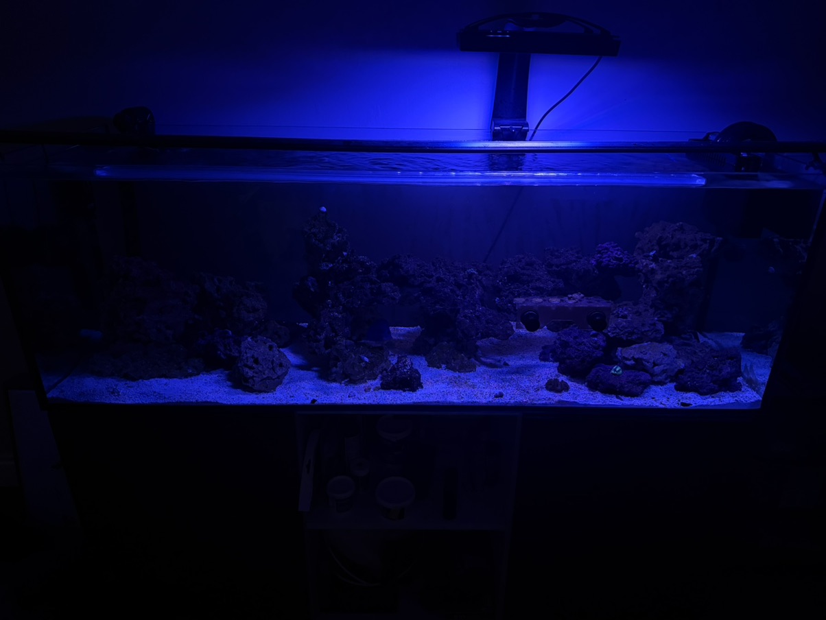 Tank Image
