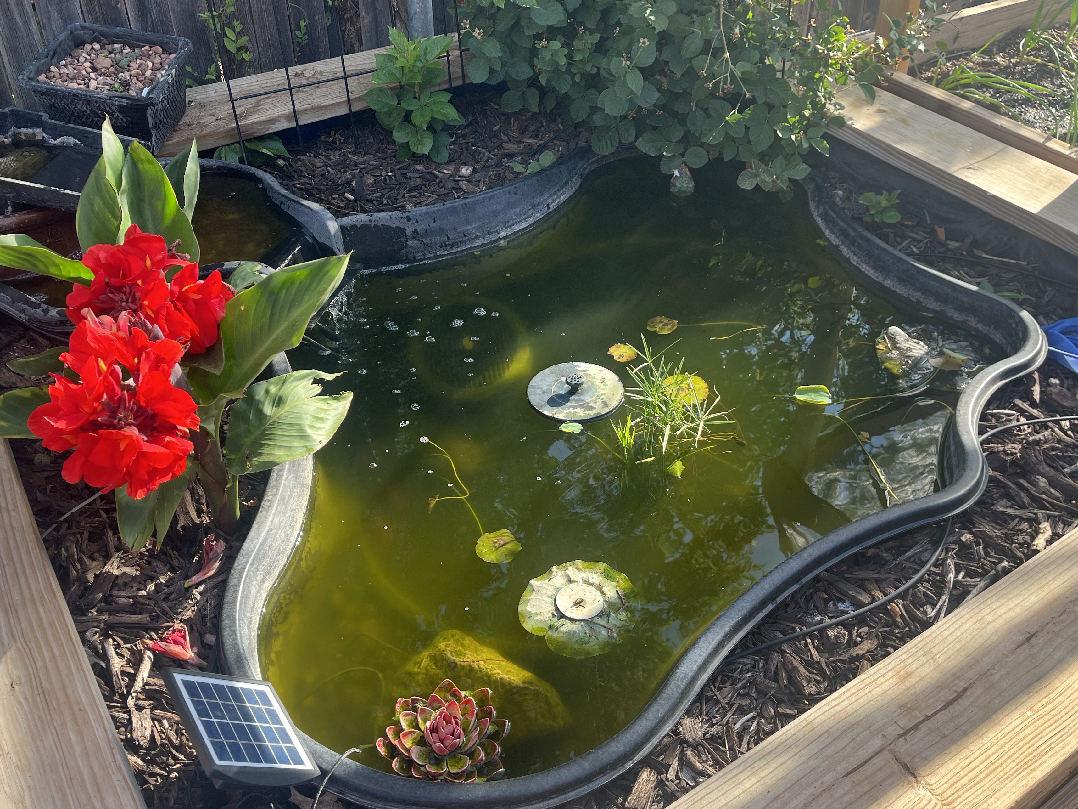 Tank Image