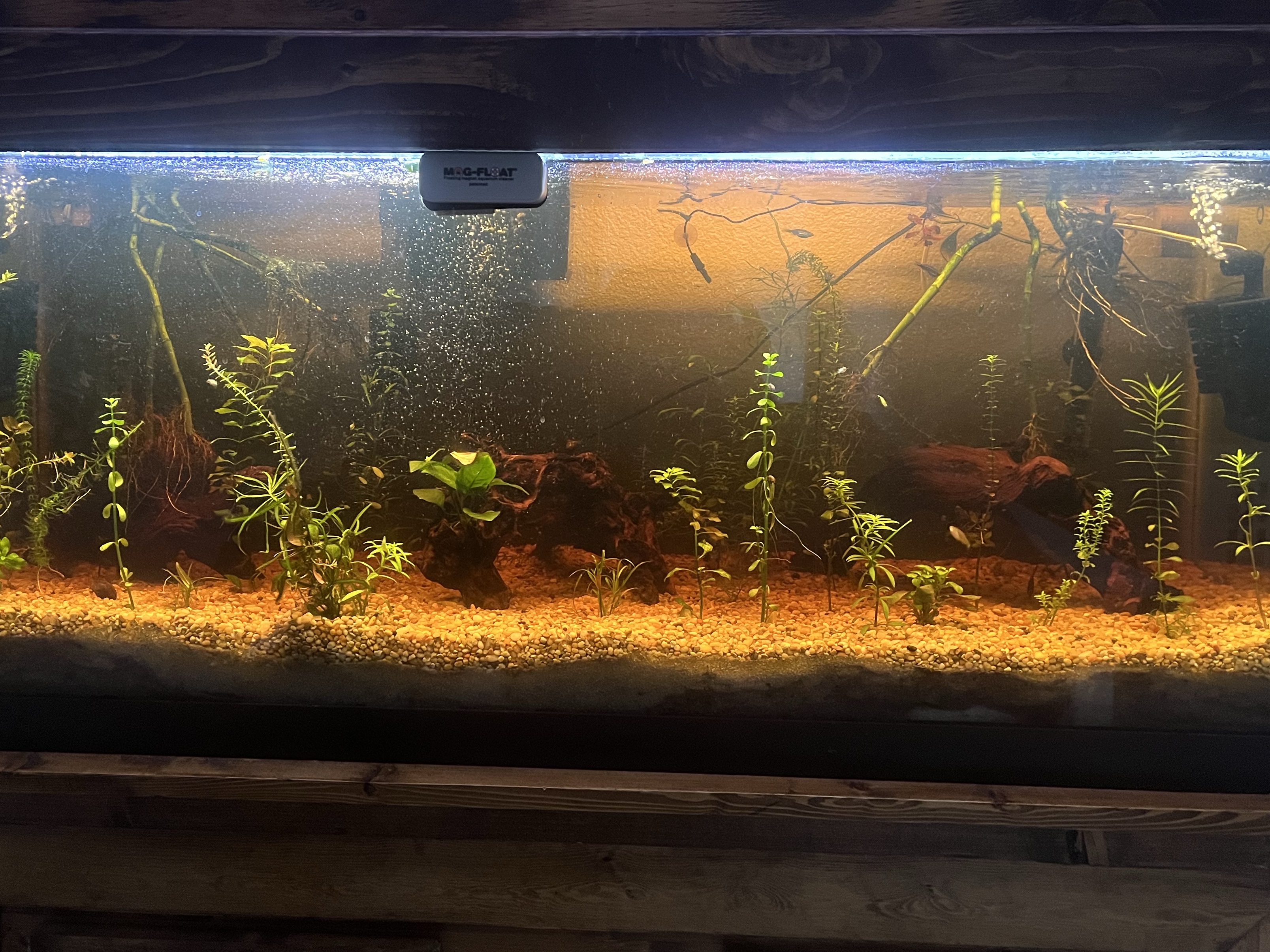 Tank Image