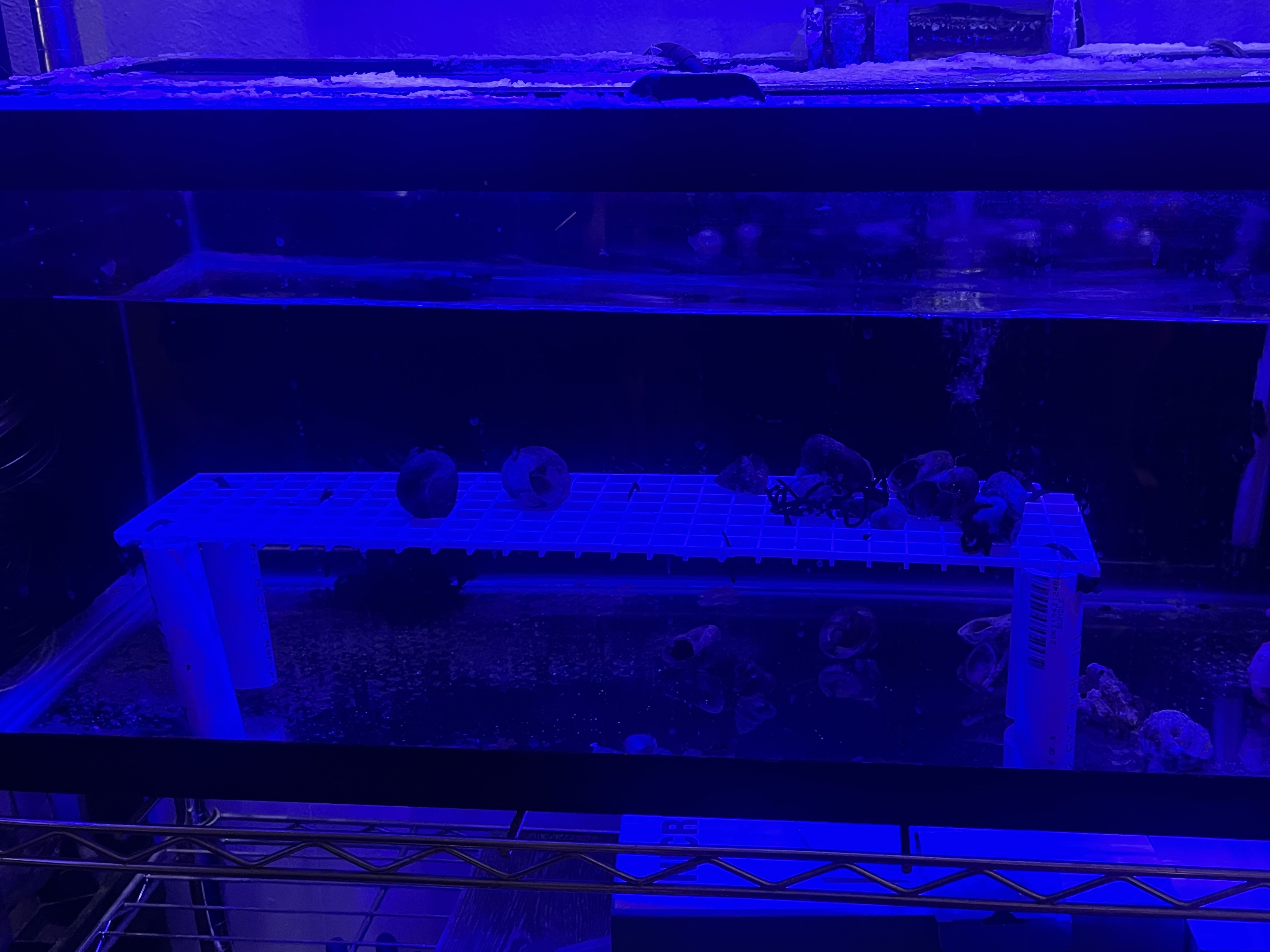 Tank Image